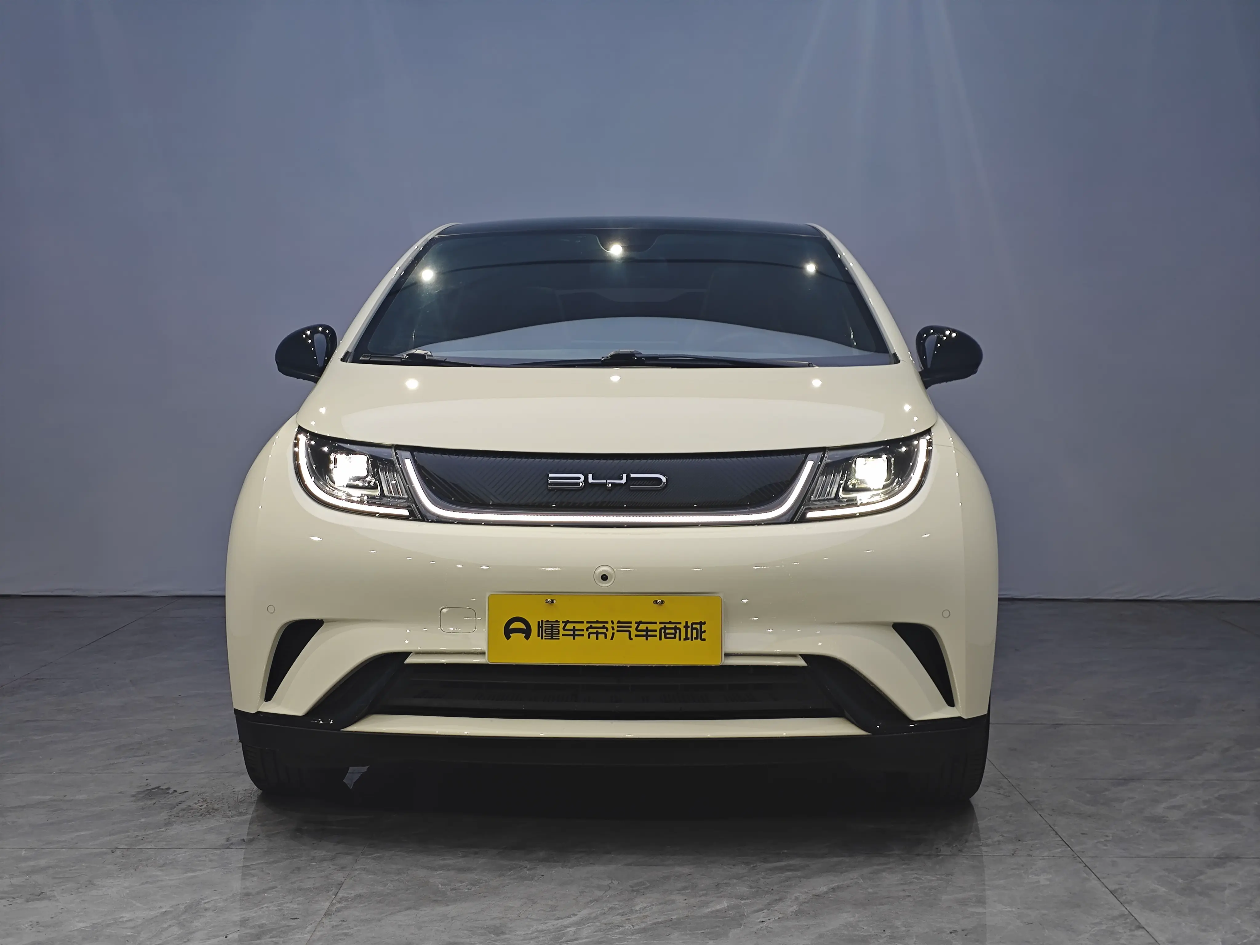 BYD Dolphin  из Китая