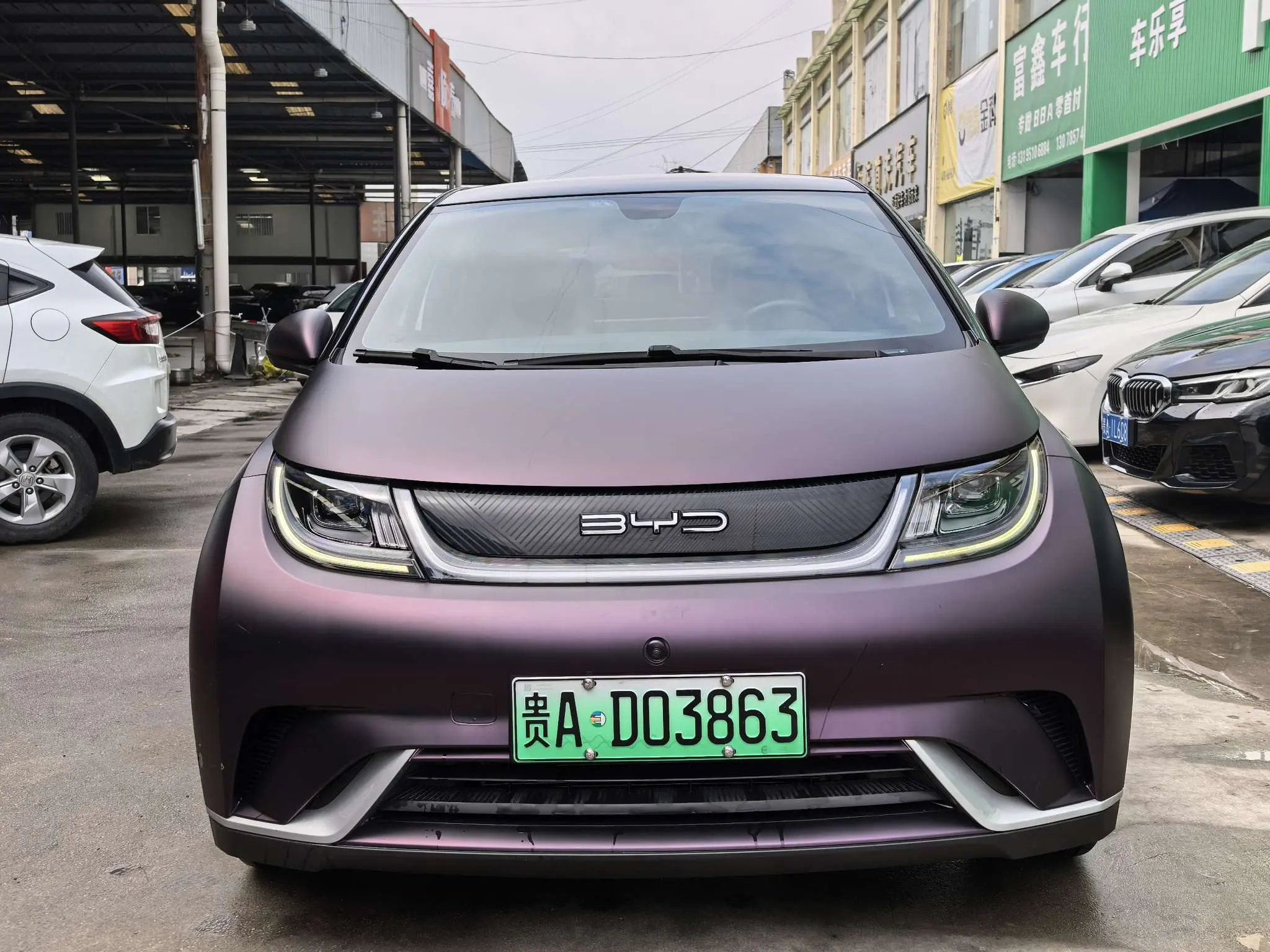 BYD Dolphin  из Китая