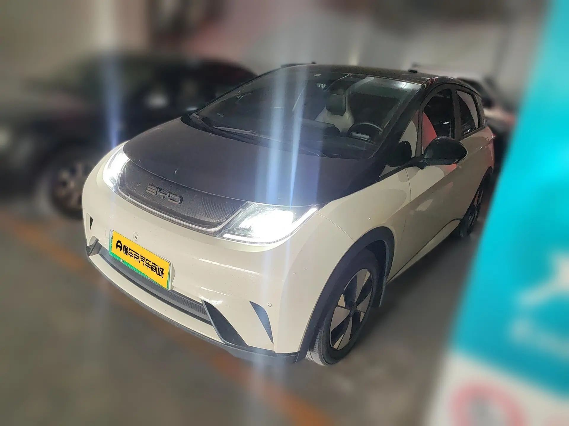 BYD Dolphin  из Китая