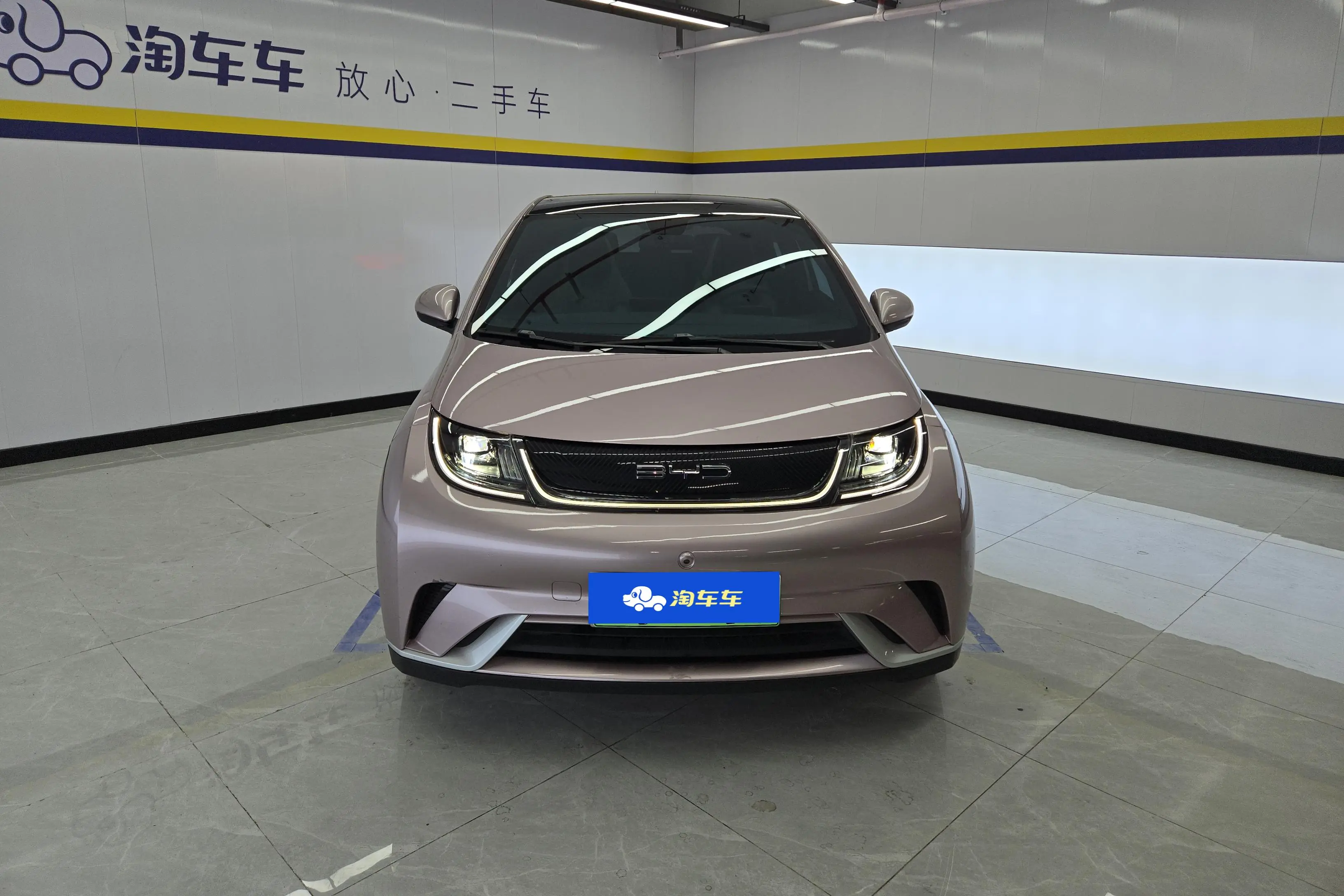 BYD Dolphin  из Китая
