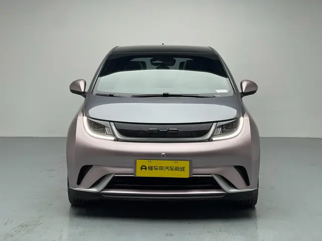 BYD Dolphin  из Китая