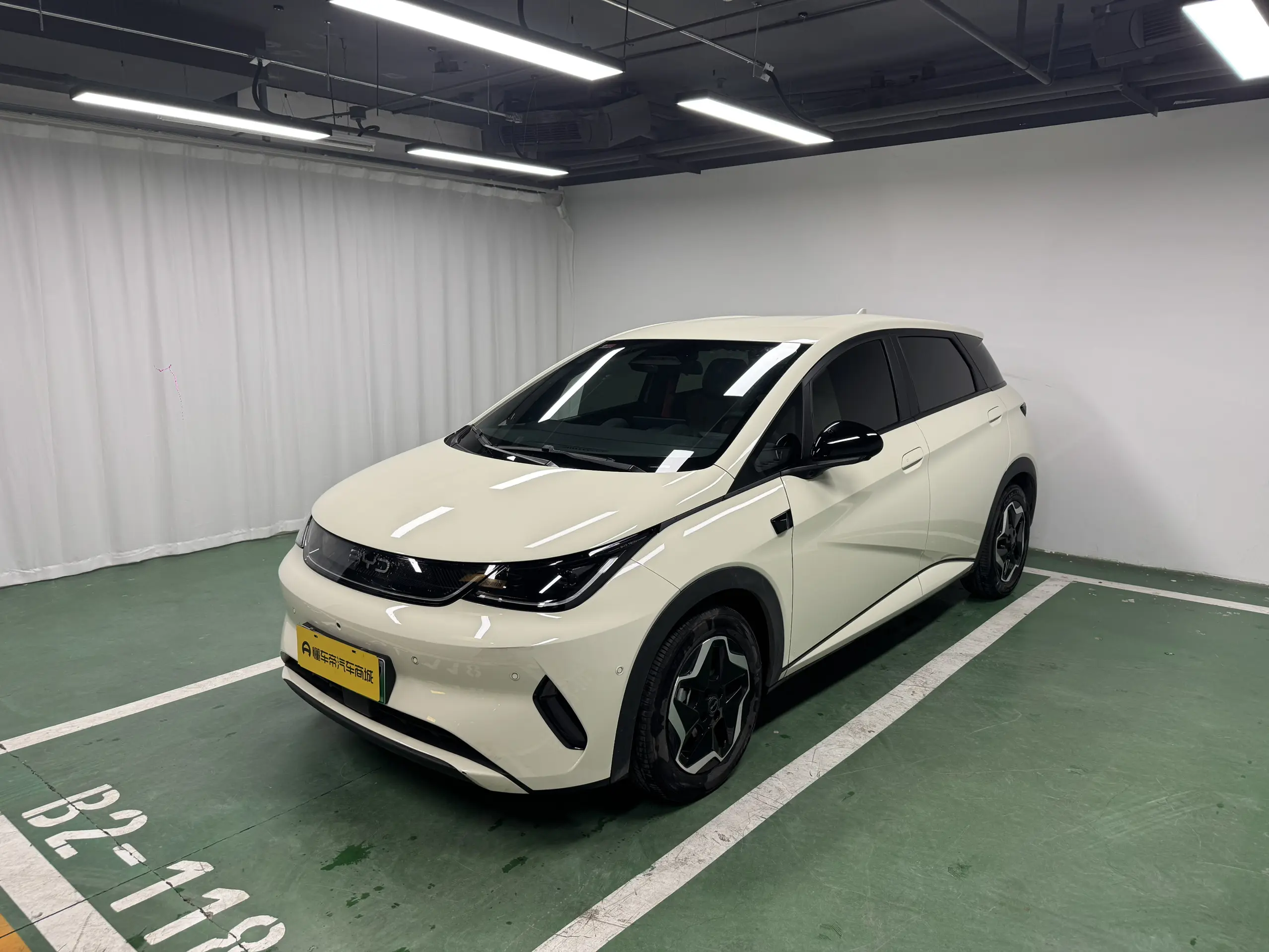 BYD Dolphin