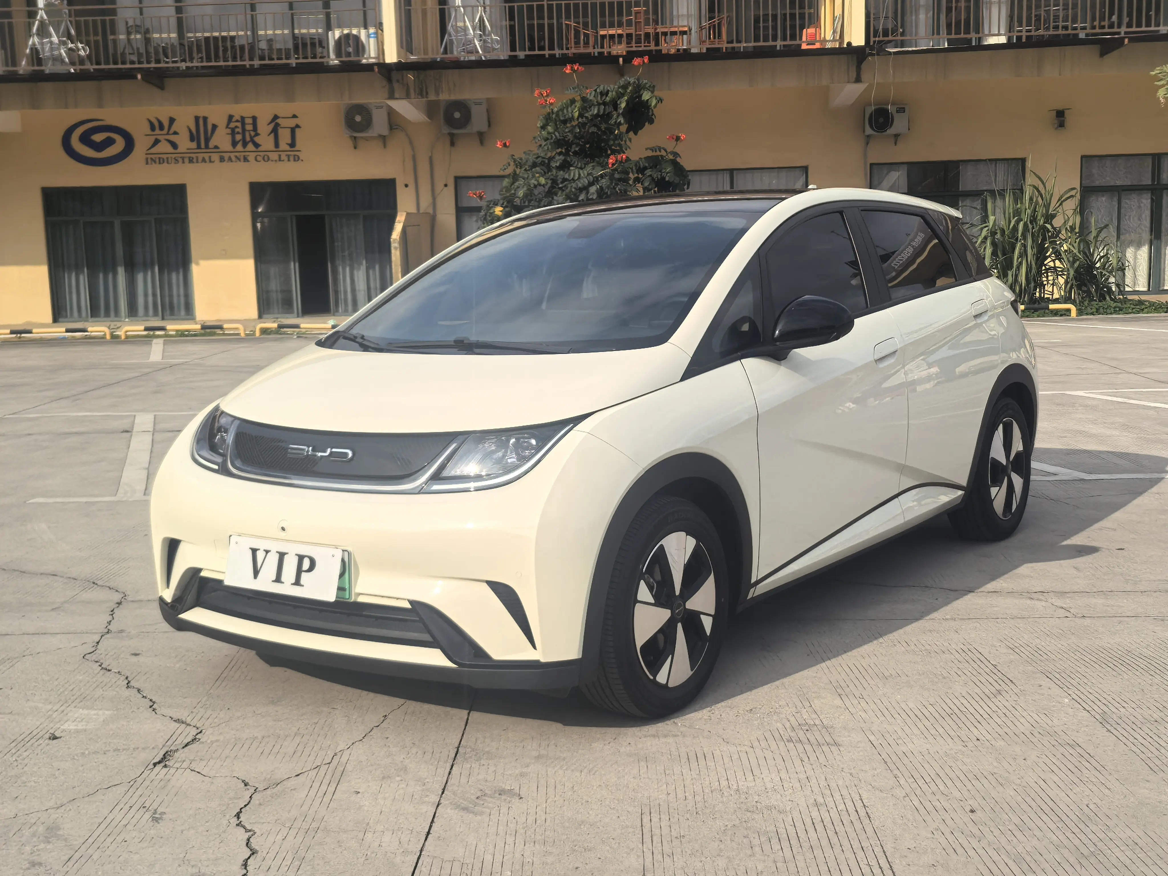 BYD Dolphin  из Китая