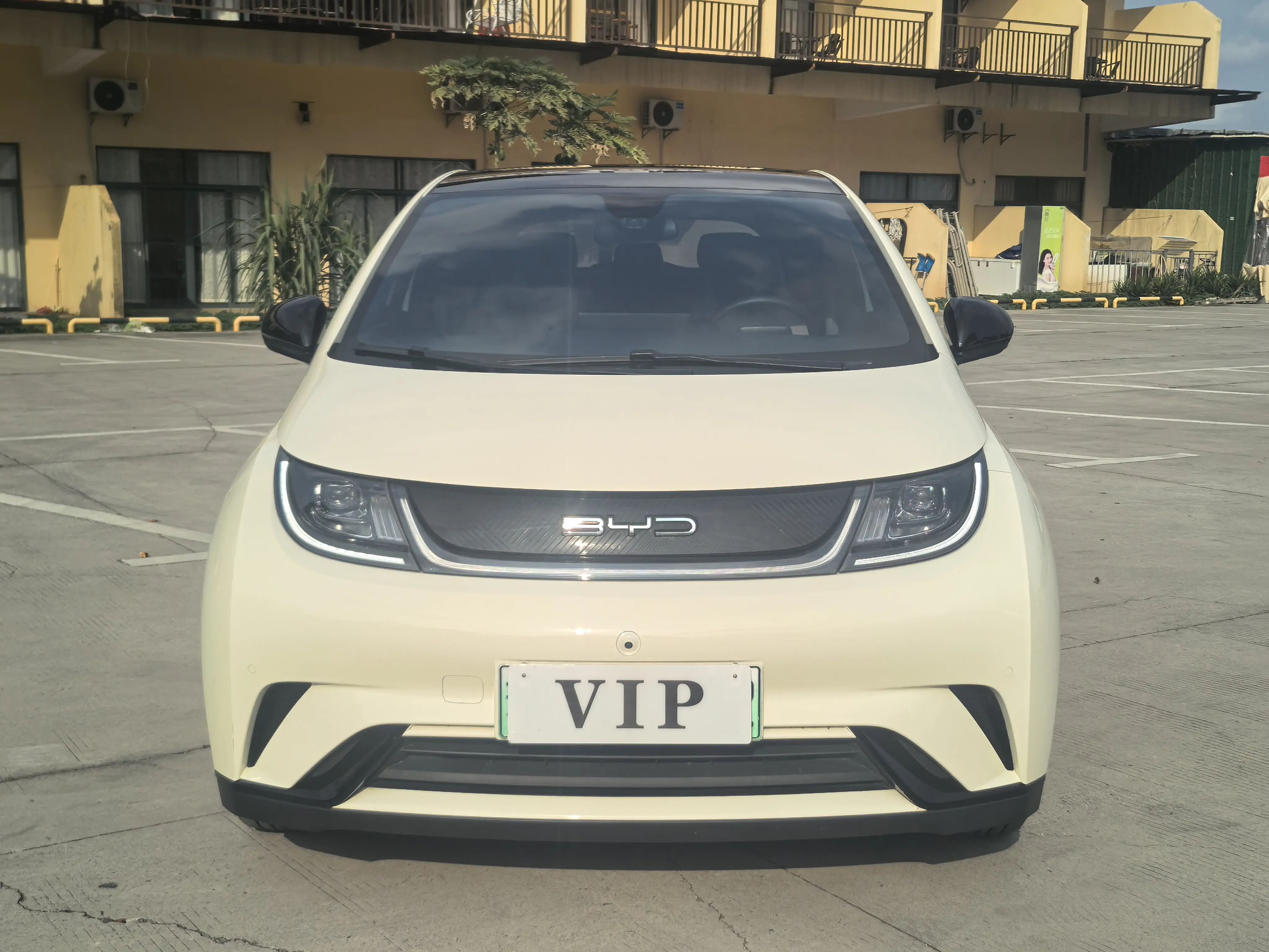 BYD Dolphin  из Китая