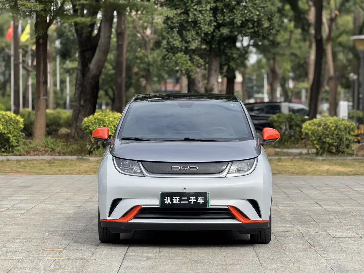 BYD Dolphin  из Китая