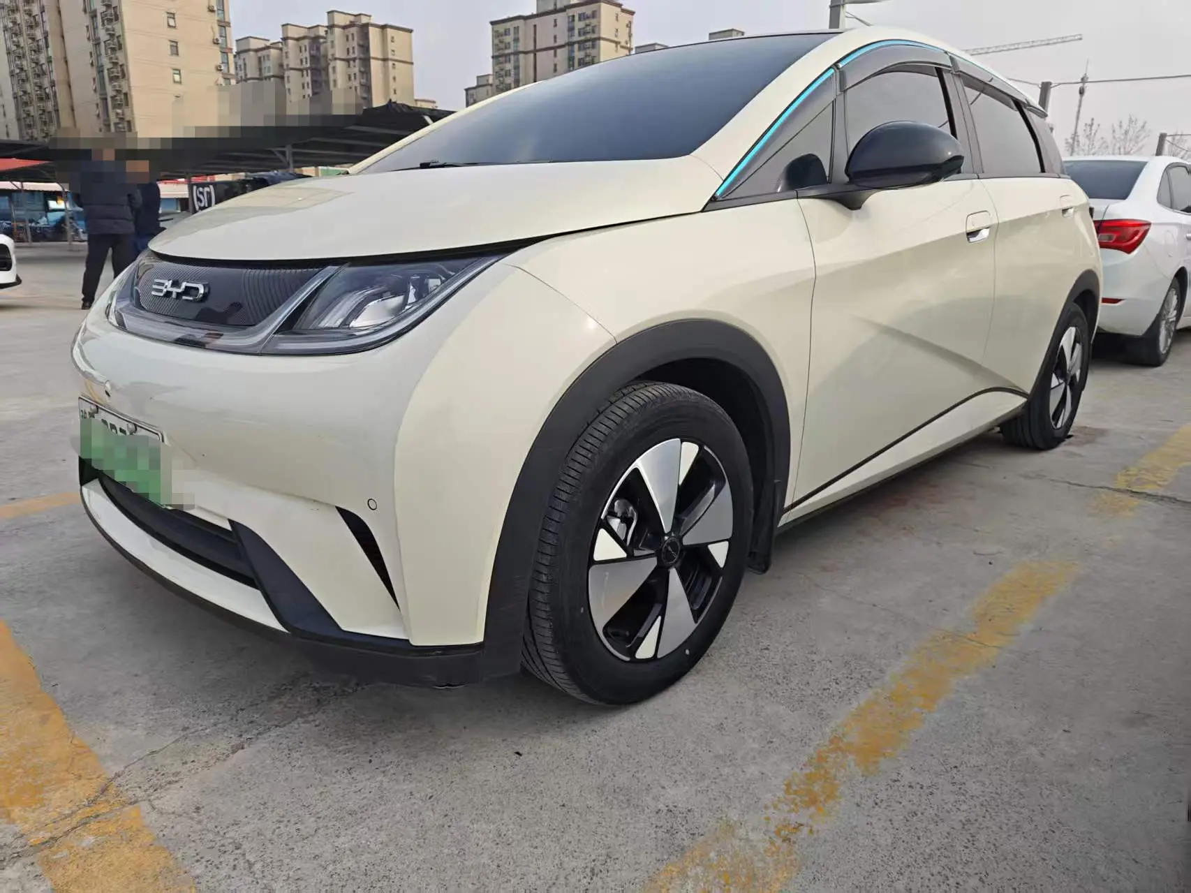 BYD Dolphin  из Китая