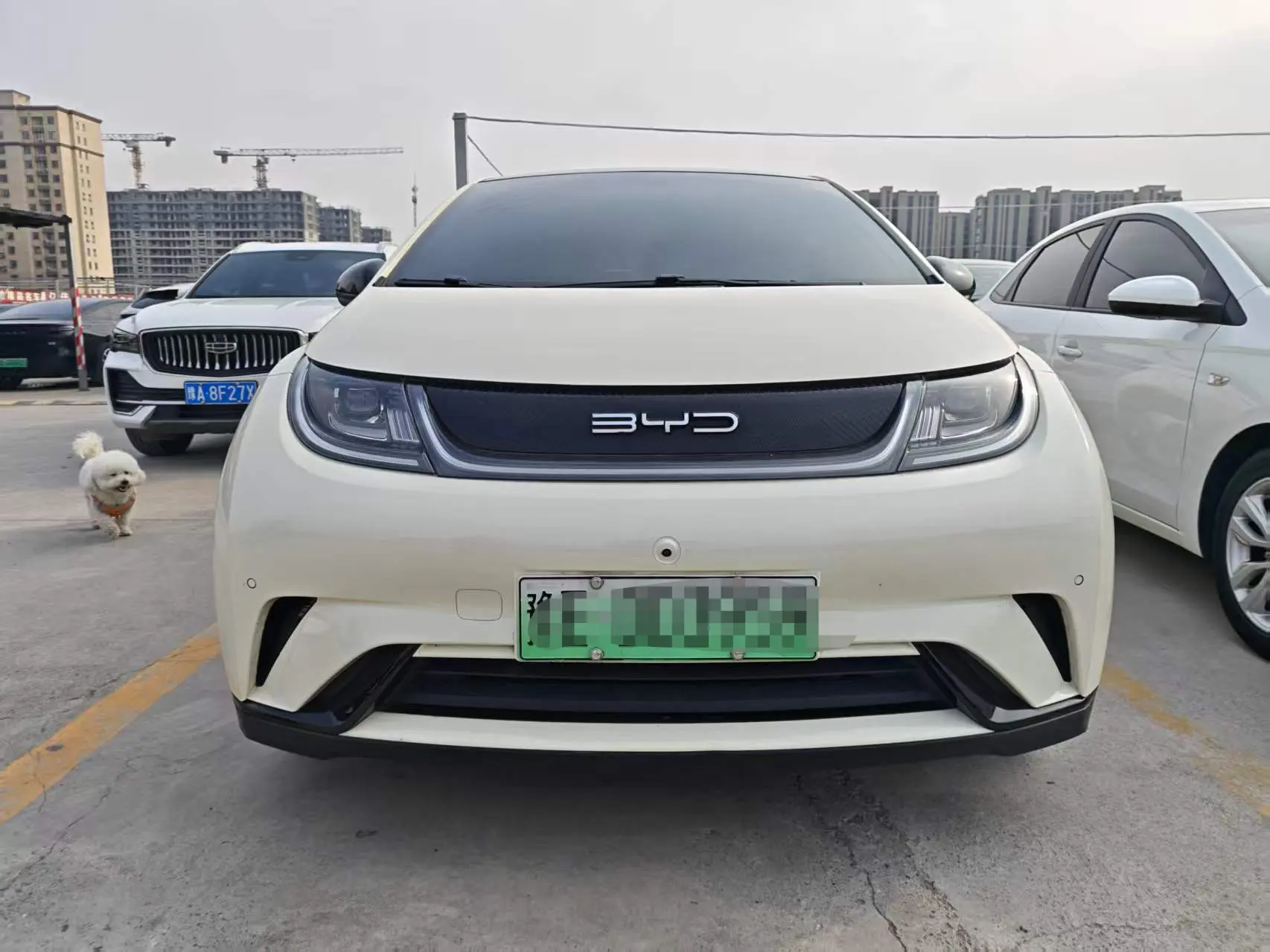 BYD Dolphin  из Китая