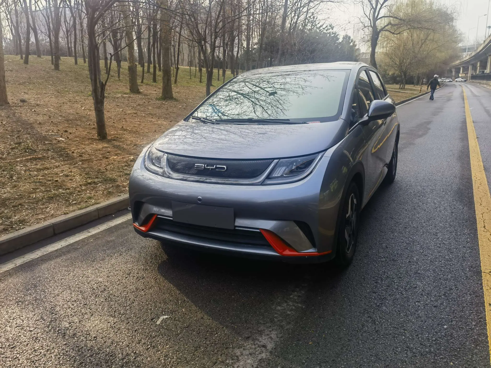 BYD Dolphin  из Китая