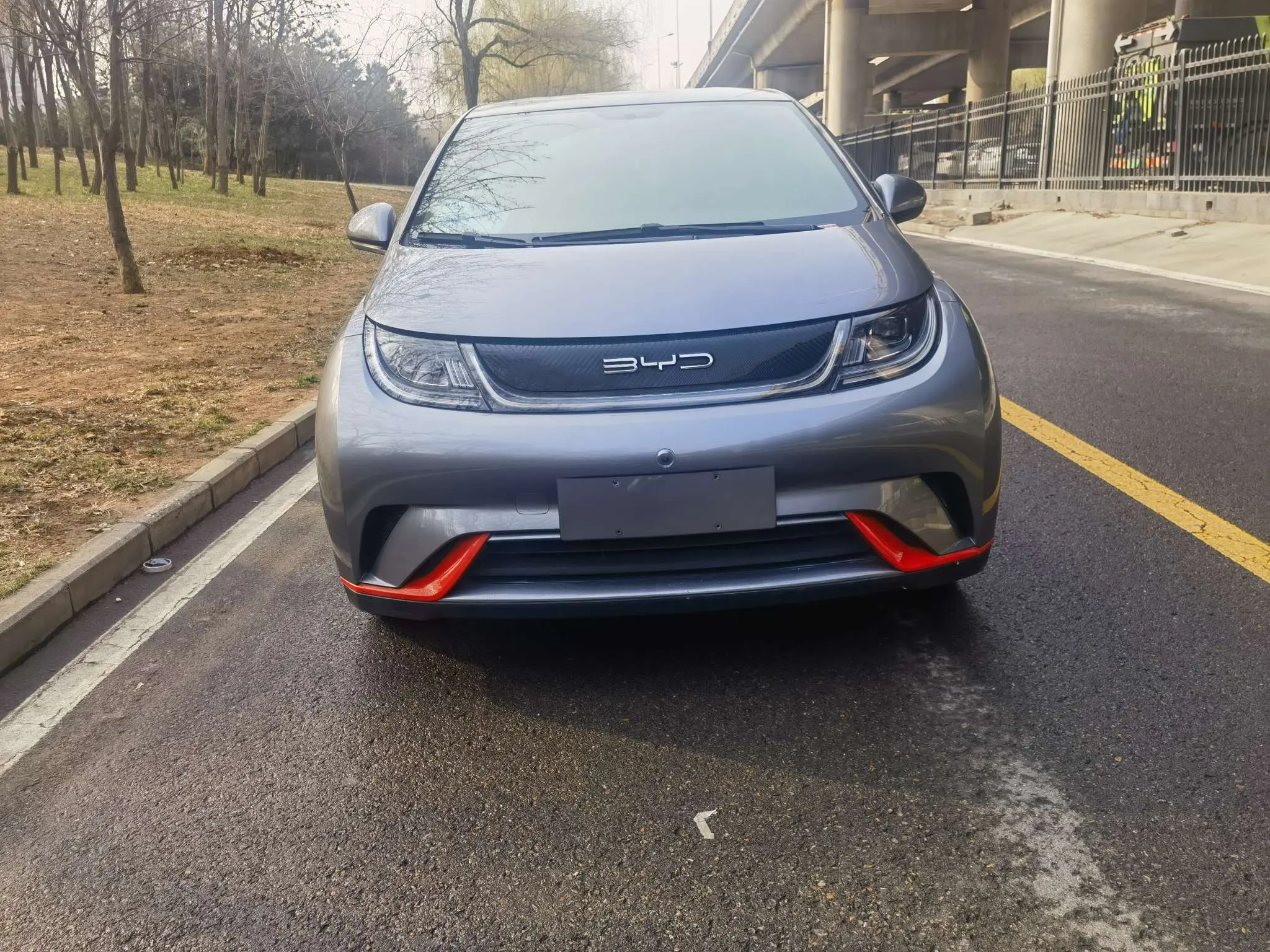 BYD Dolphin  из Китая