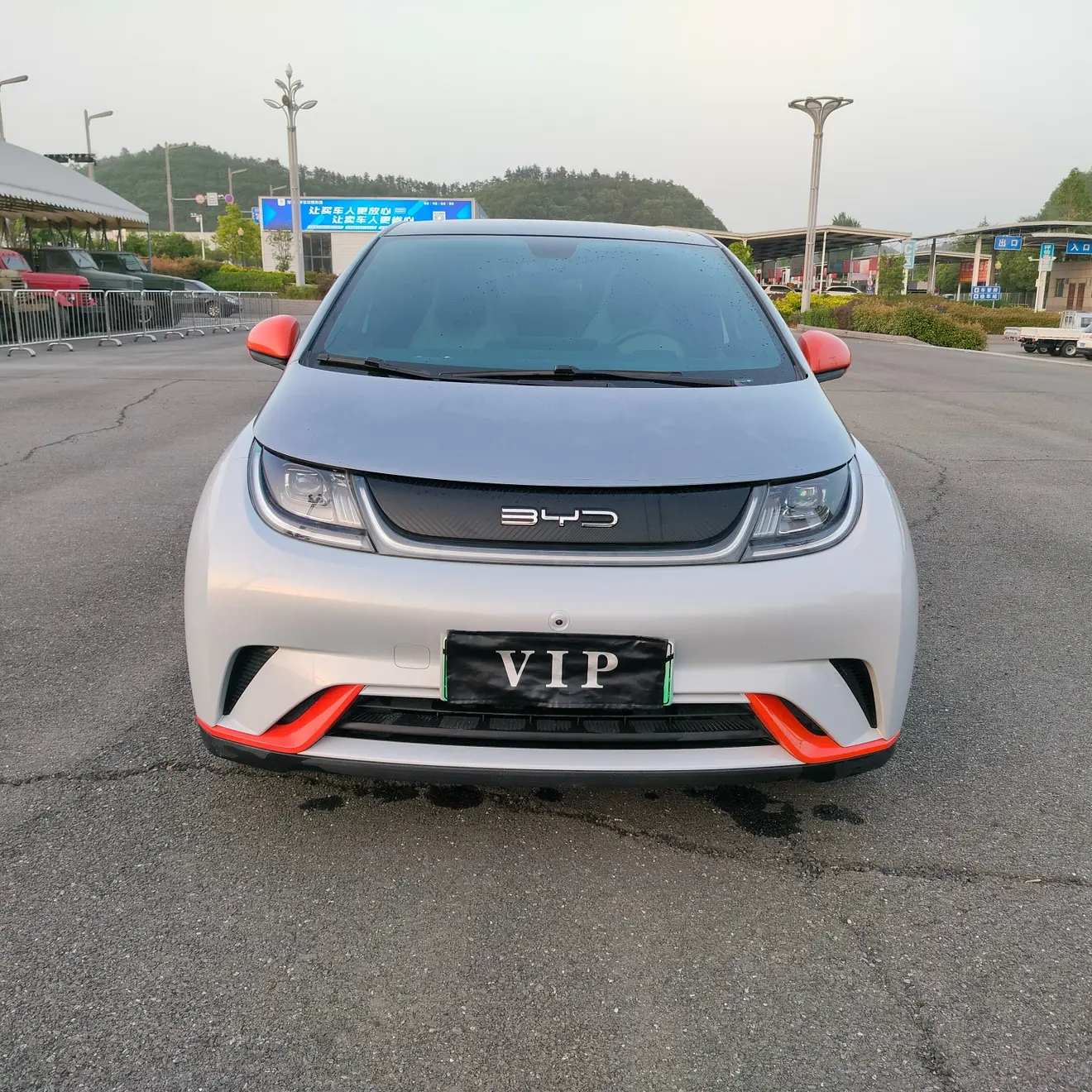 BYD Dolphin  из Китая