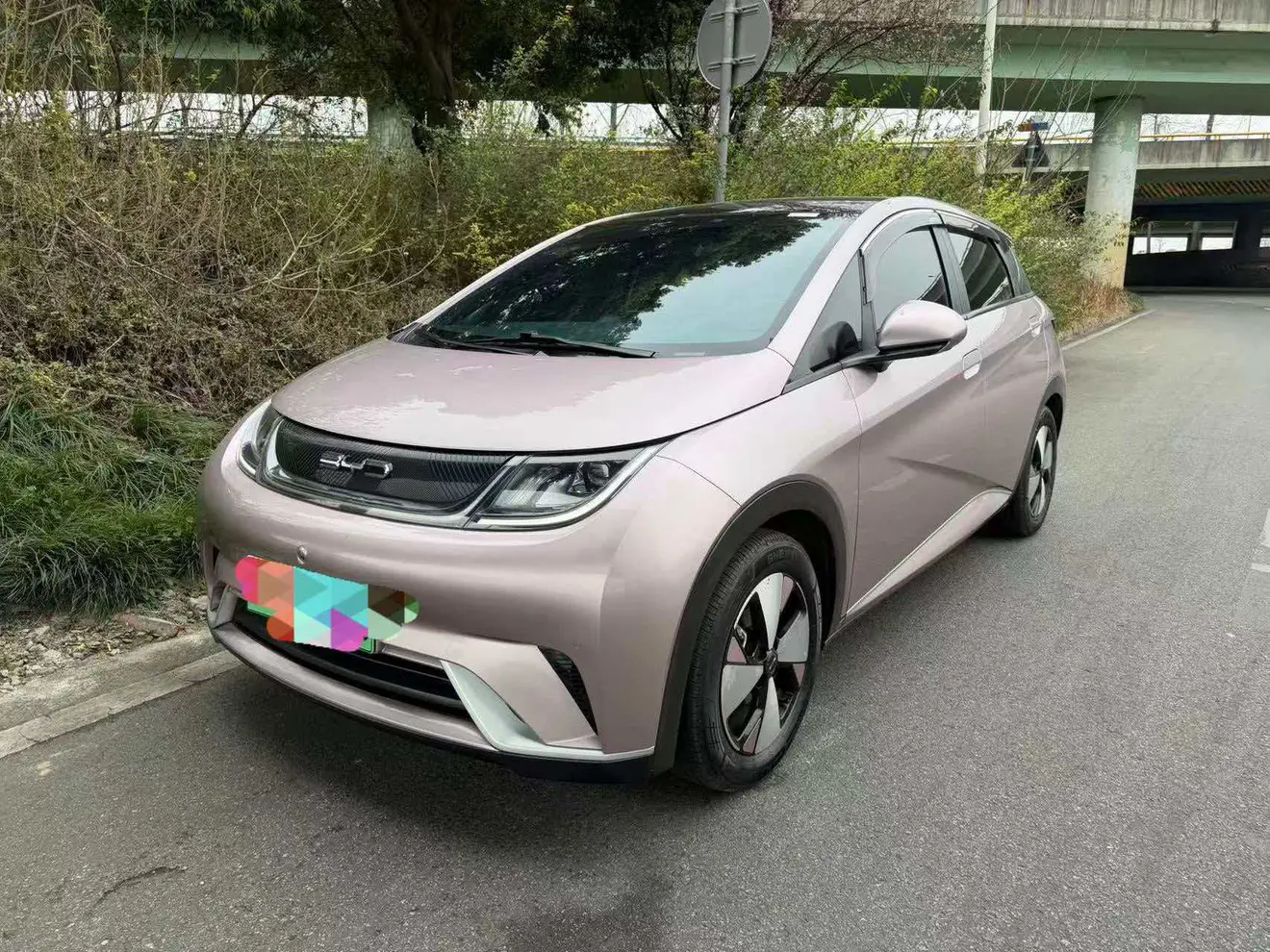 BYD Dolphin