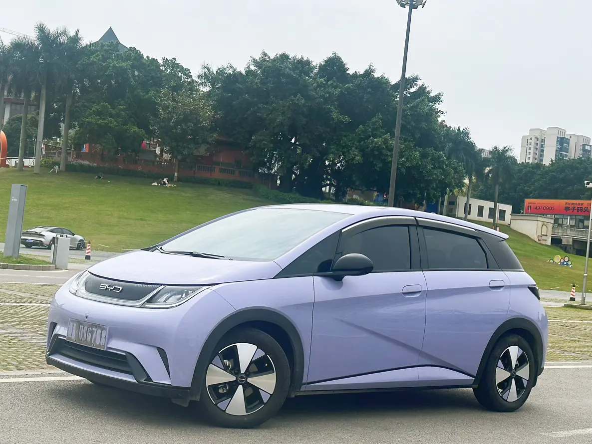 BYD Dolphin  из Китая
