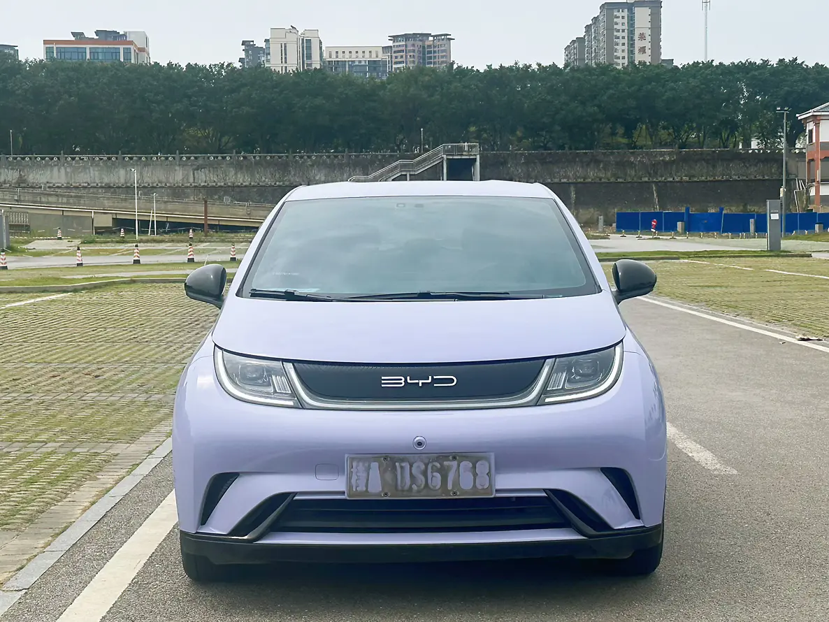 BYD Dolphin  из Китая