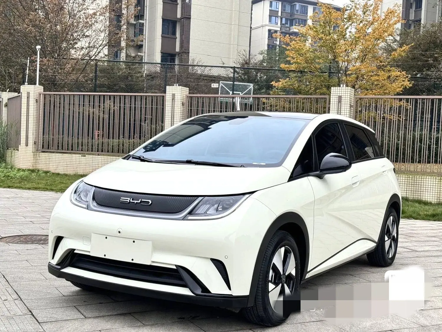 BYD Dolphin