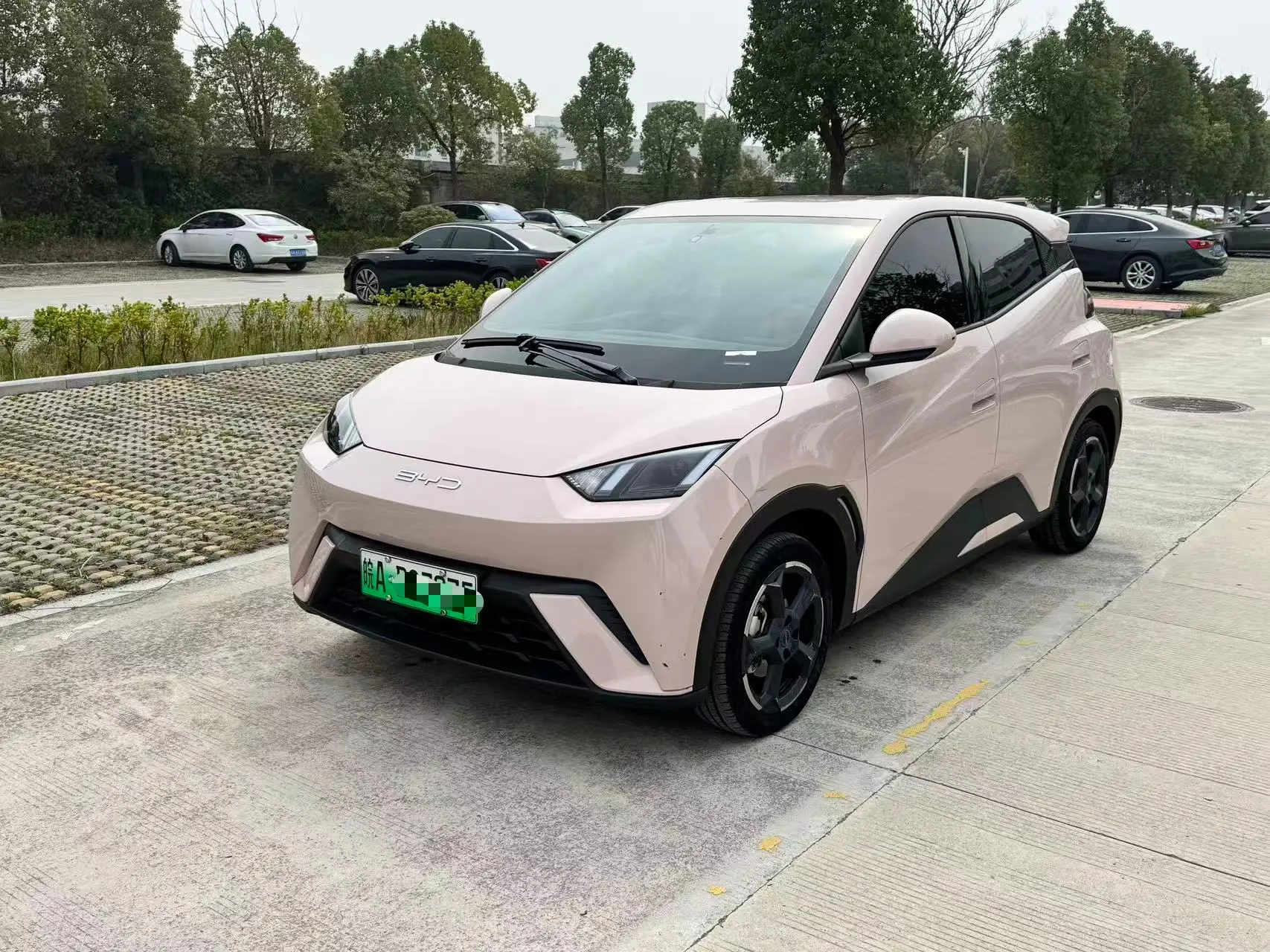 BYD Seagull  из Китая