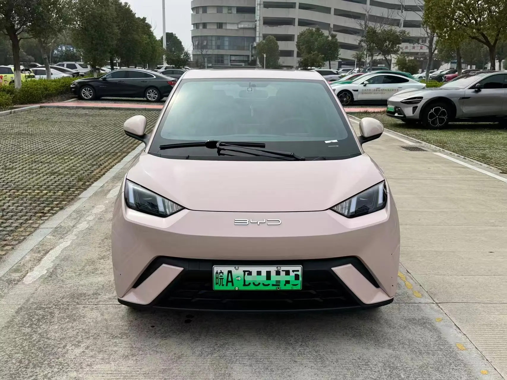 BYD Seagull  из Китая