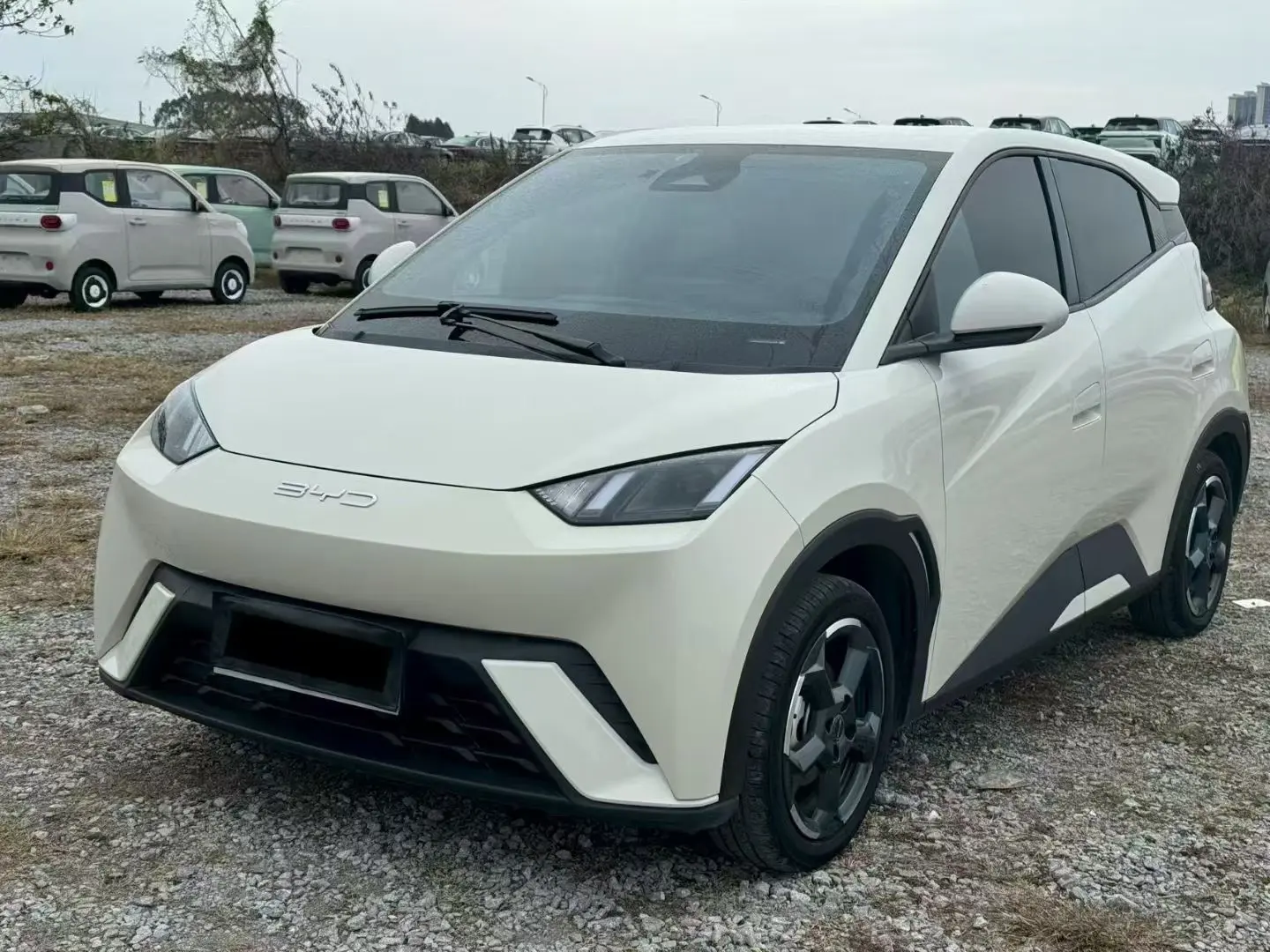 BYD Seagull  из Китая