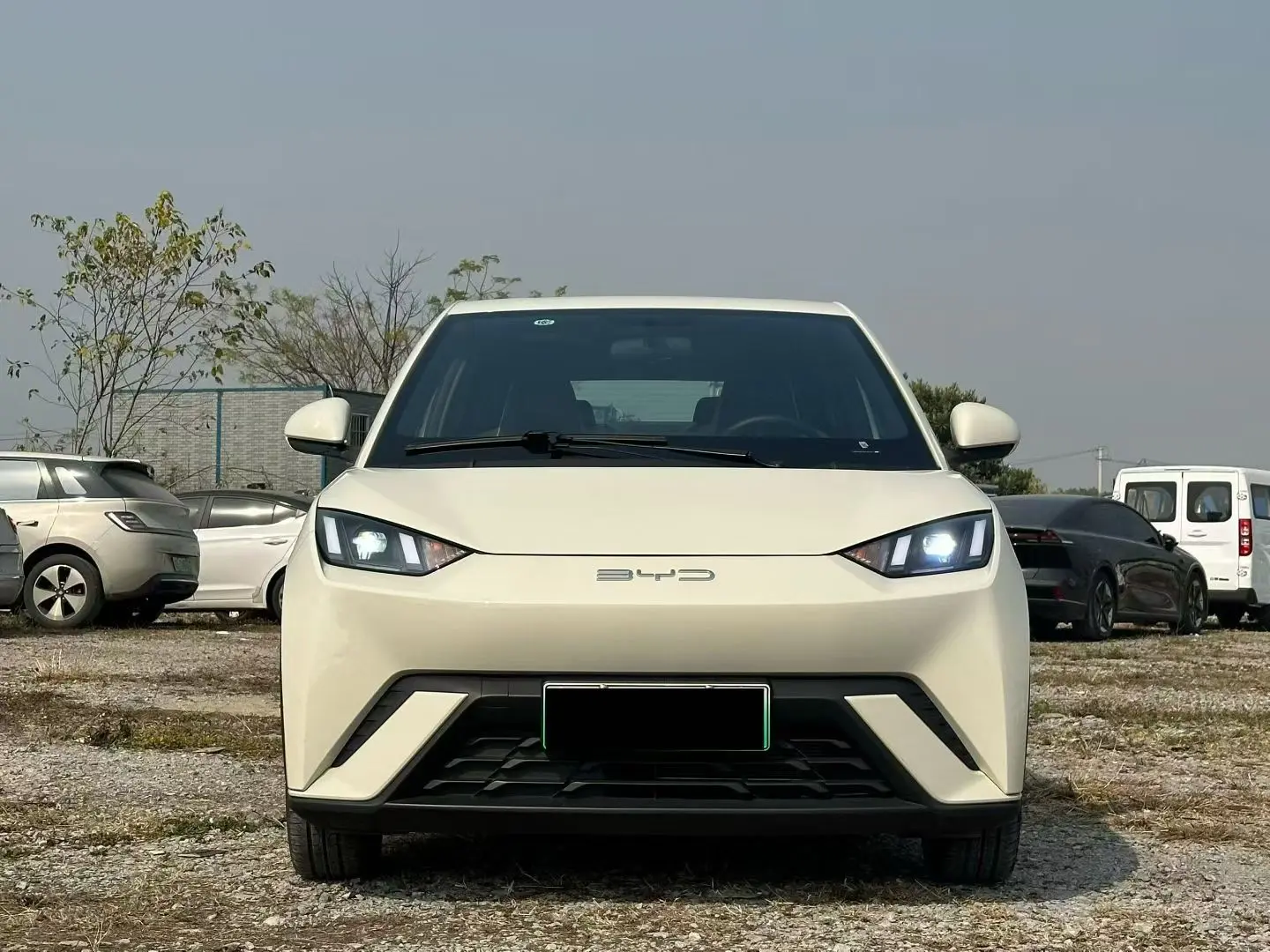 BYD Seagull  из Китая