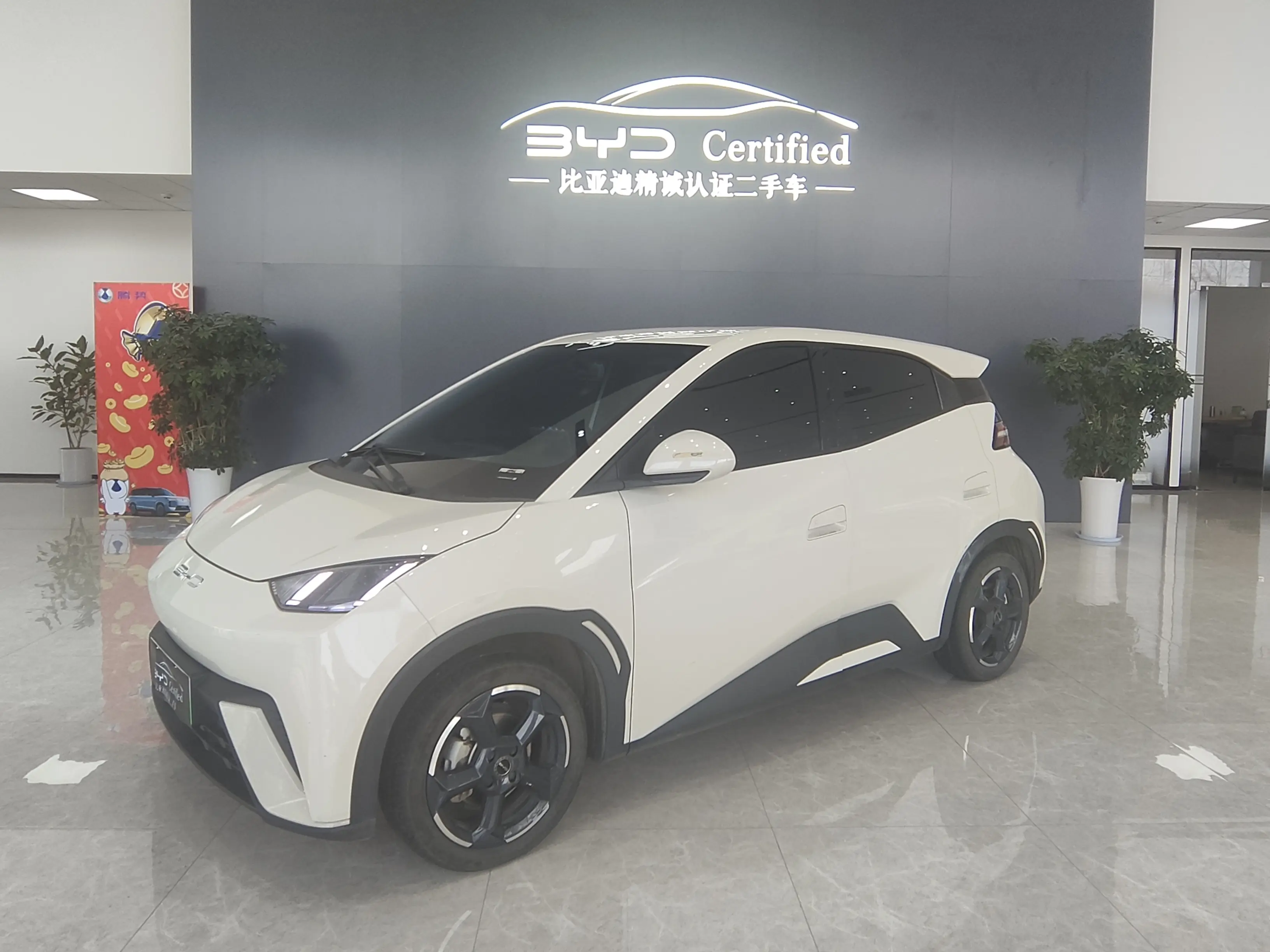 BYD Seagull  из Китая