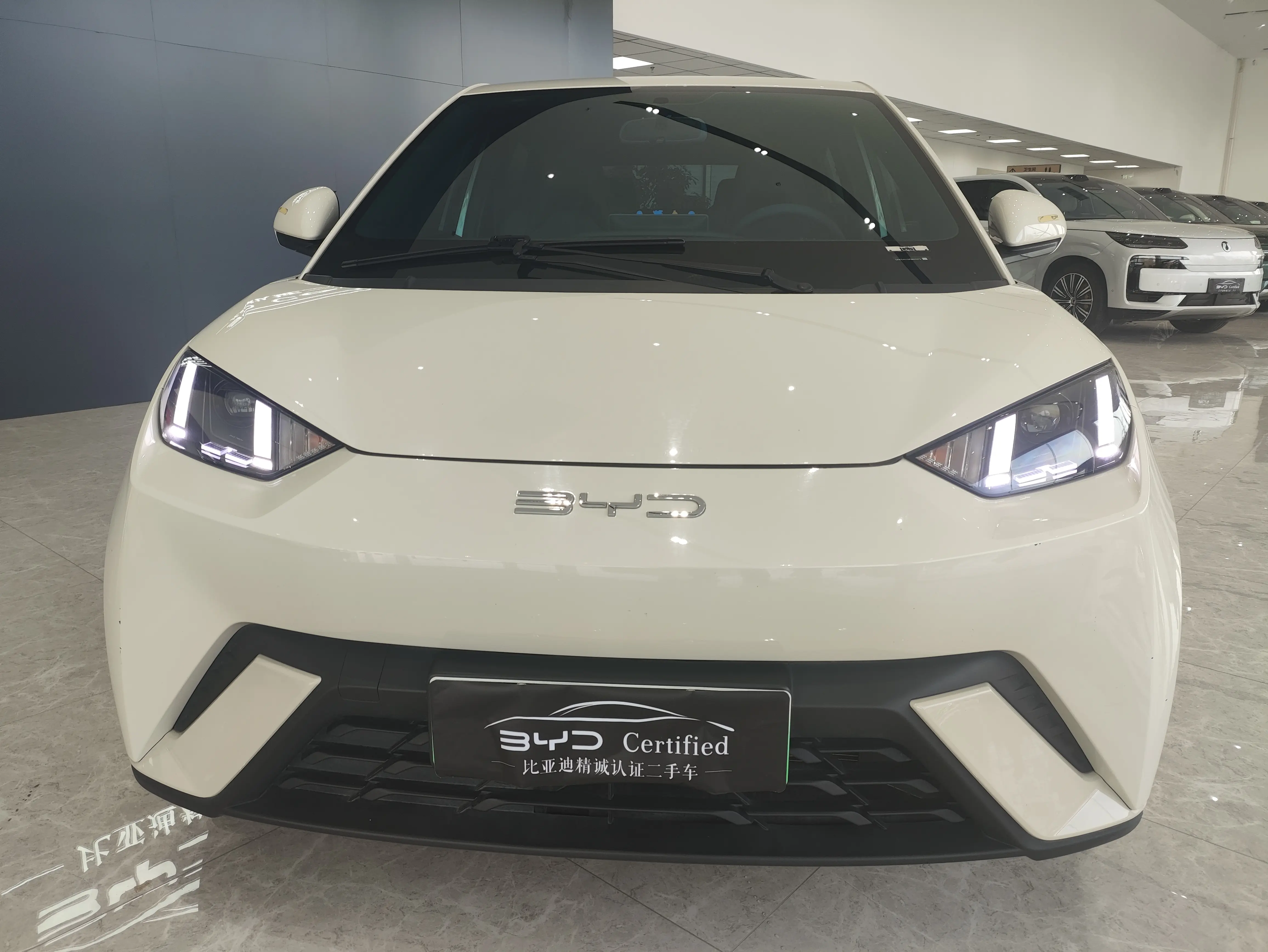 BYD Seagull  из Китая