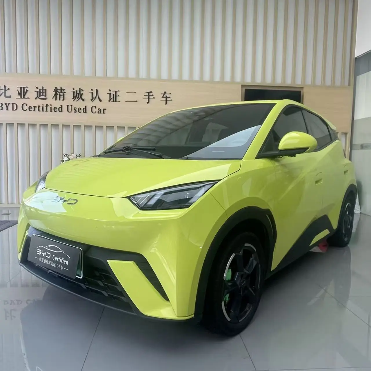 BYD Seagull  из Китая