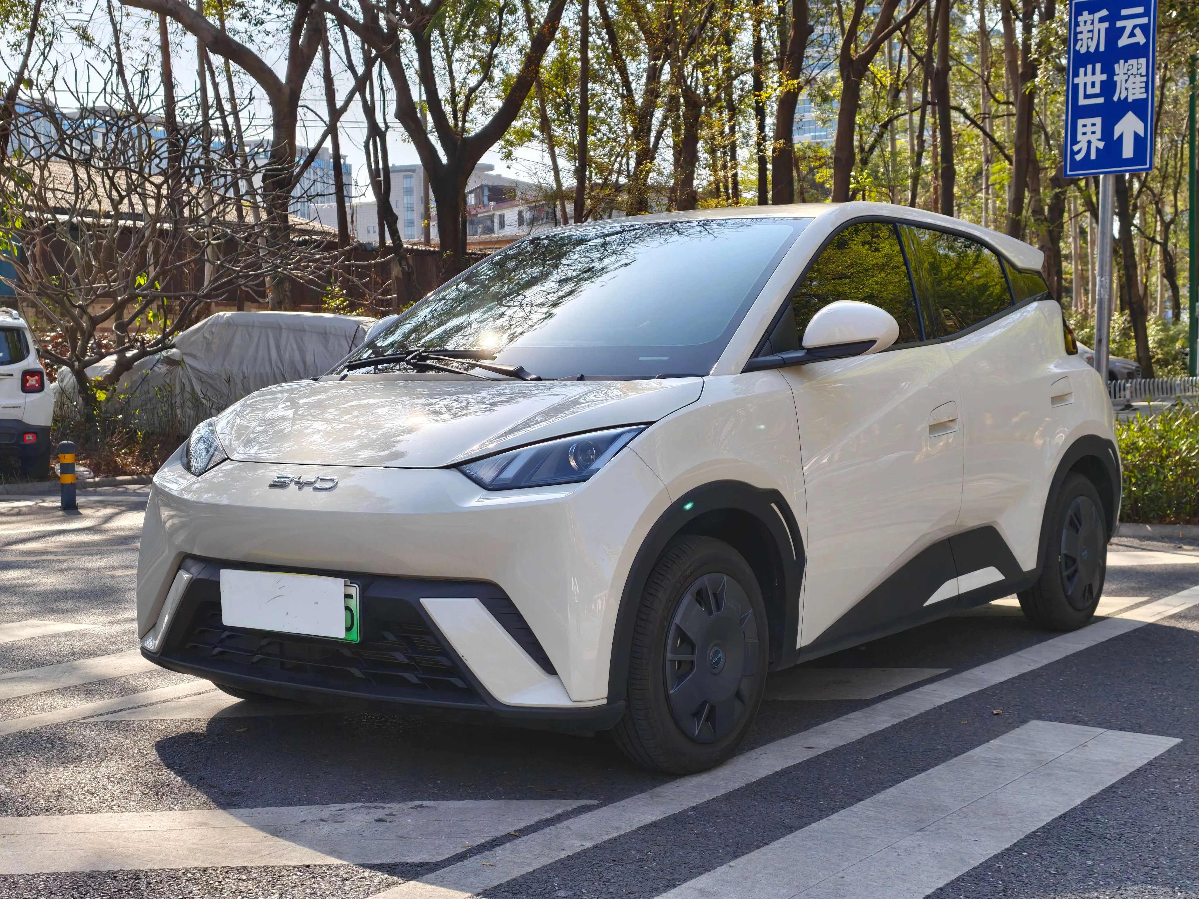 BYD Seagull  из Китая