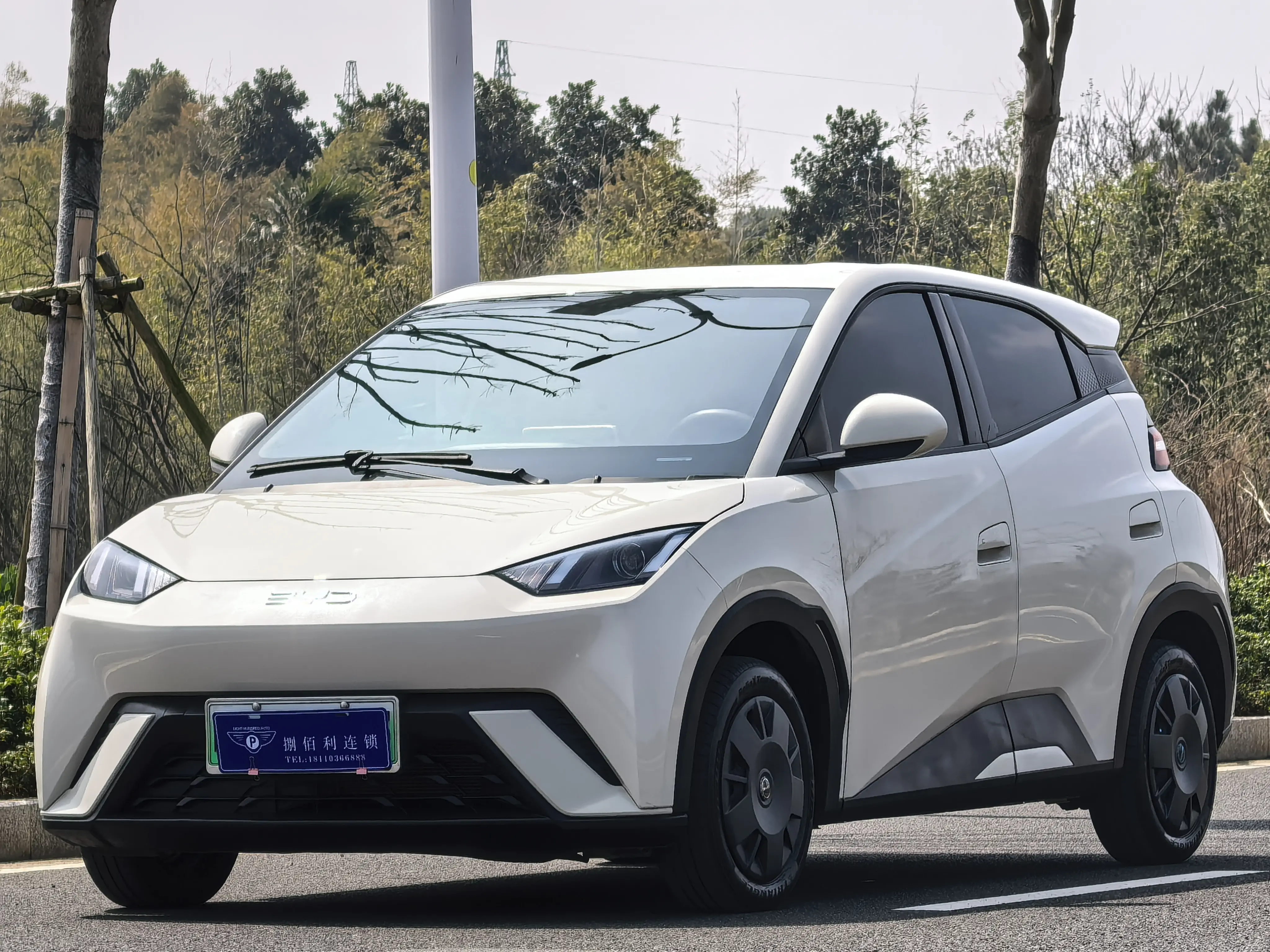 BYD Seagull  из Китая