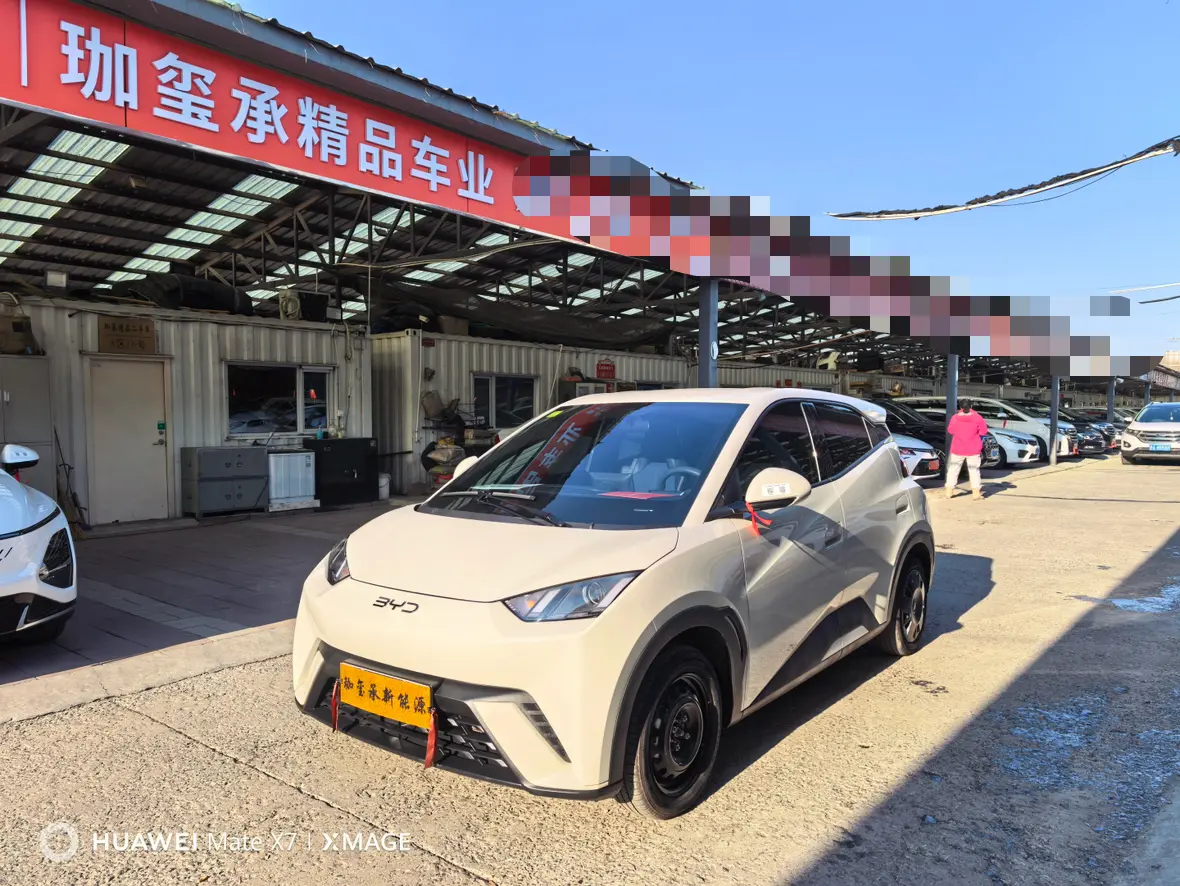 BYD Seagull  из Китая