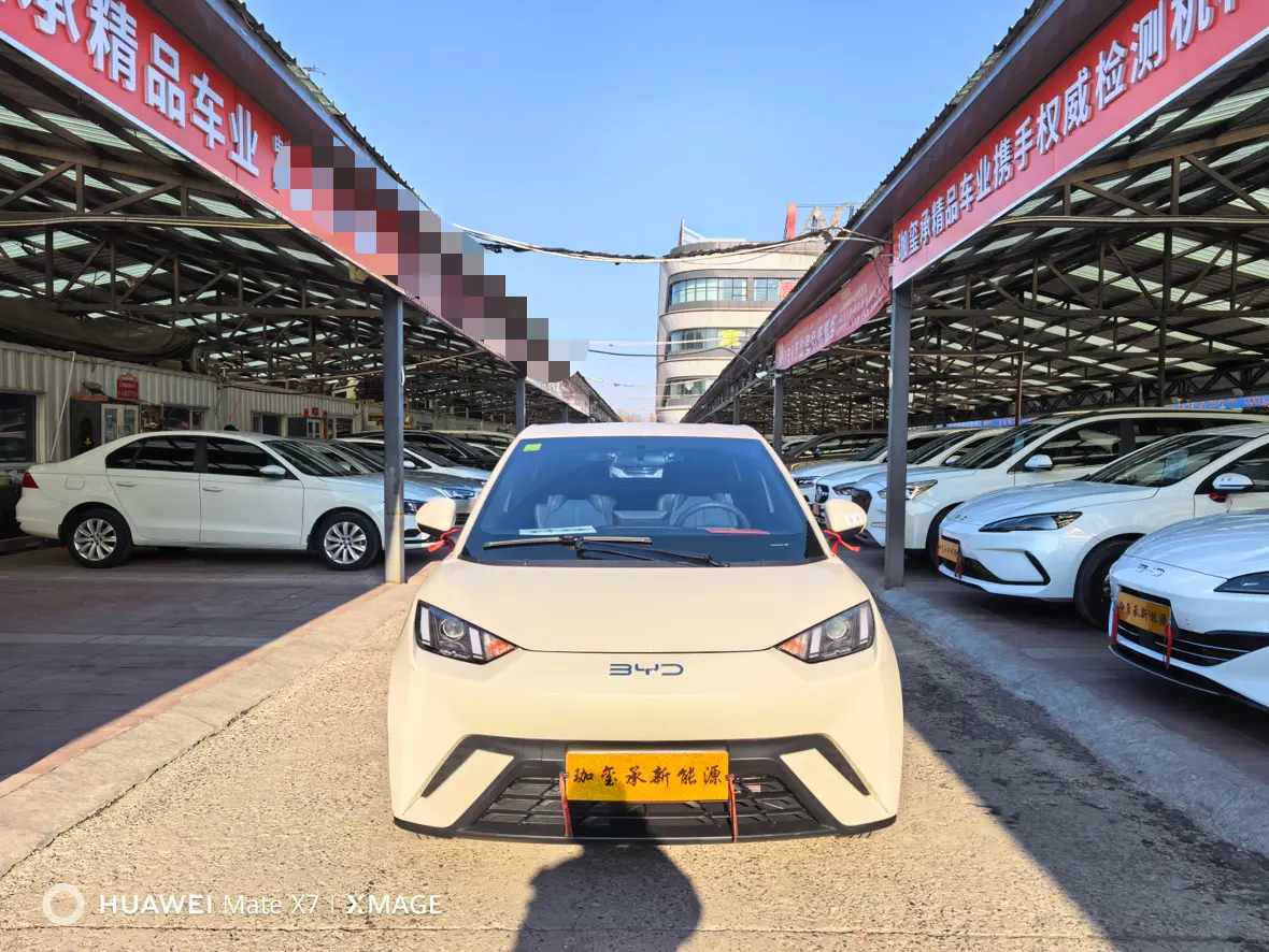 BYD Seagull  из Китая