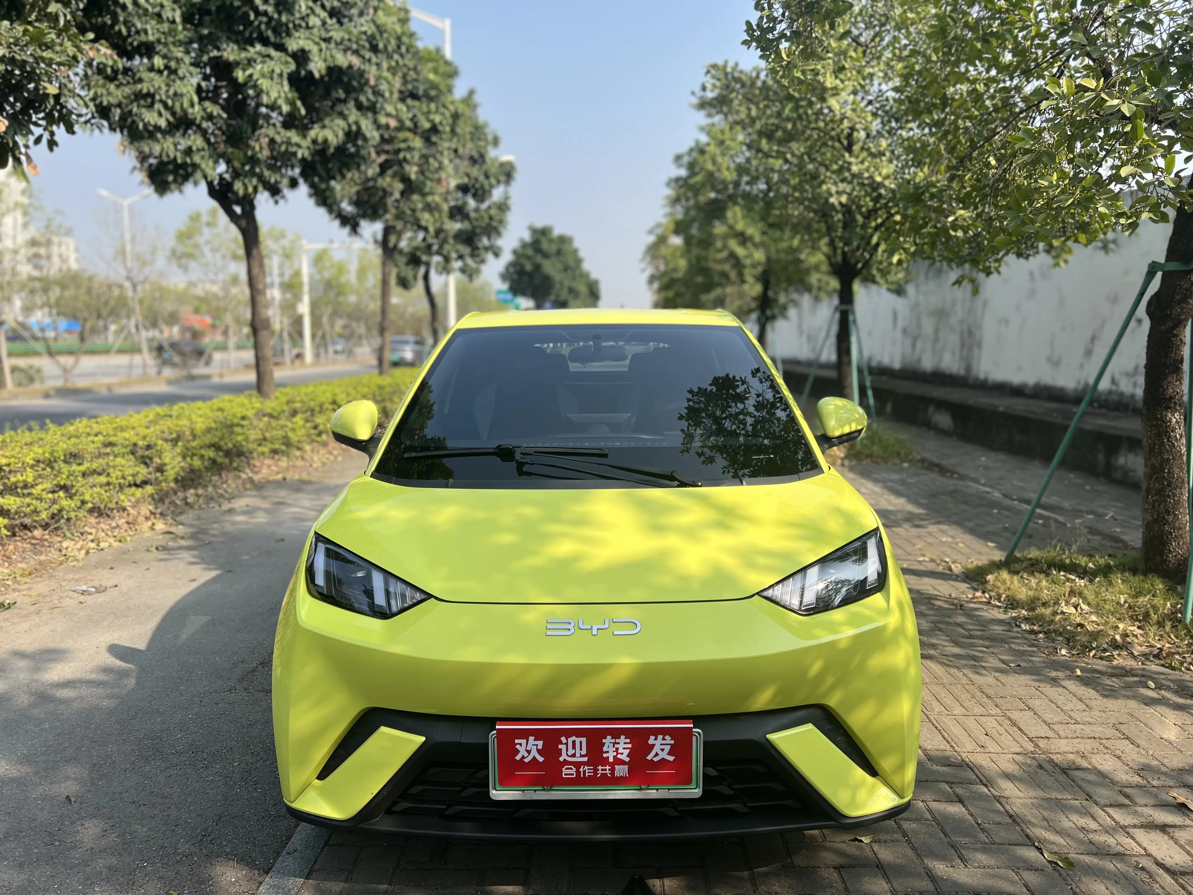 BYD Seagull  из Китая