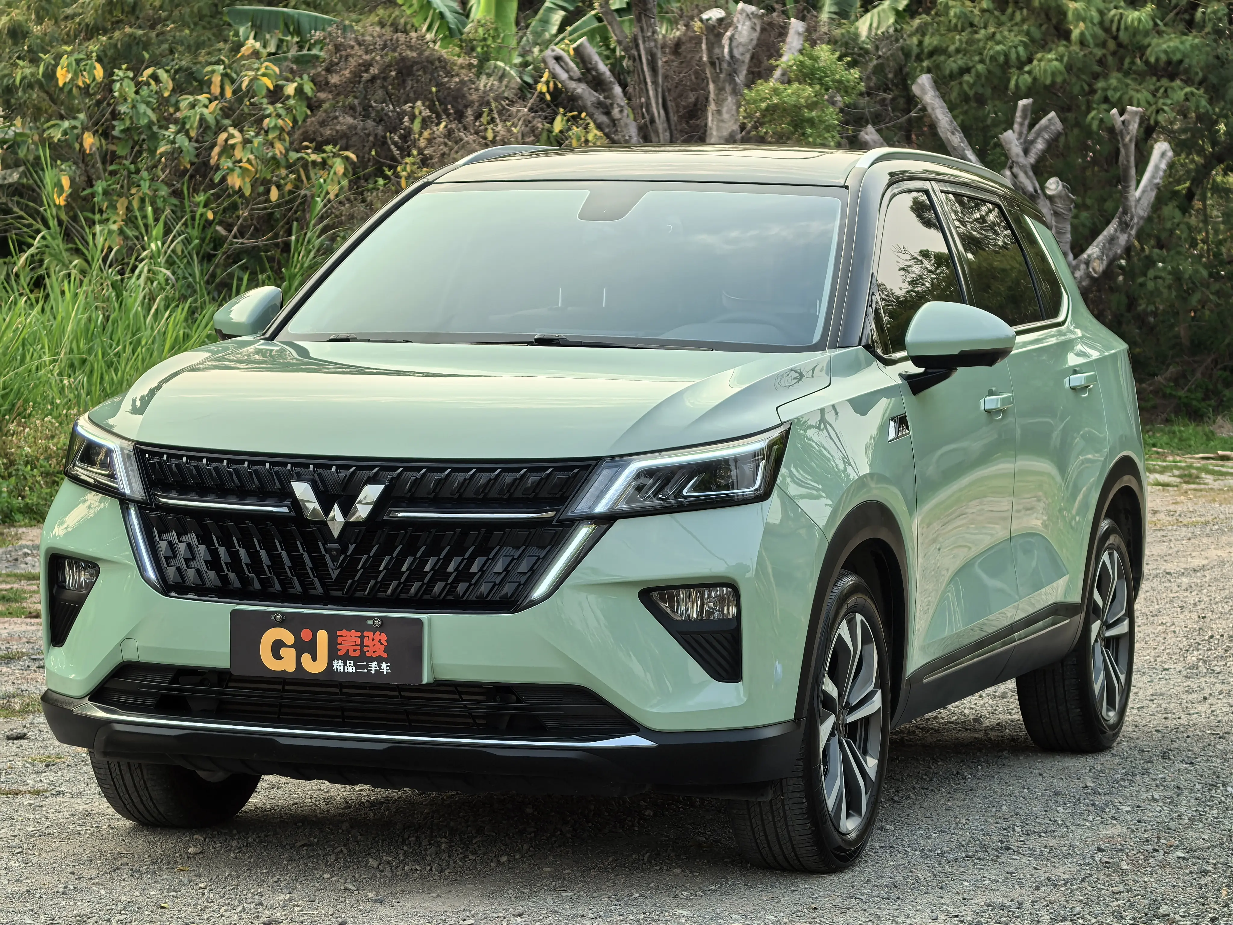 Wuling Star