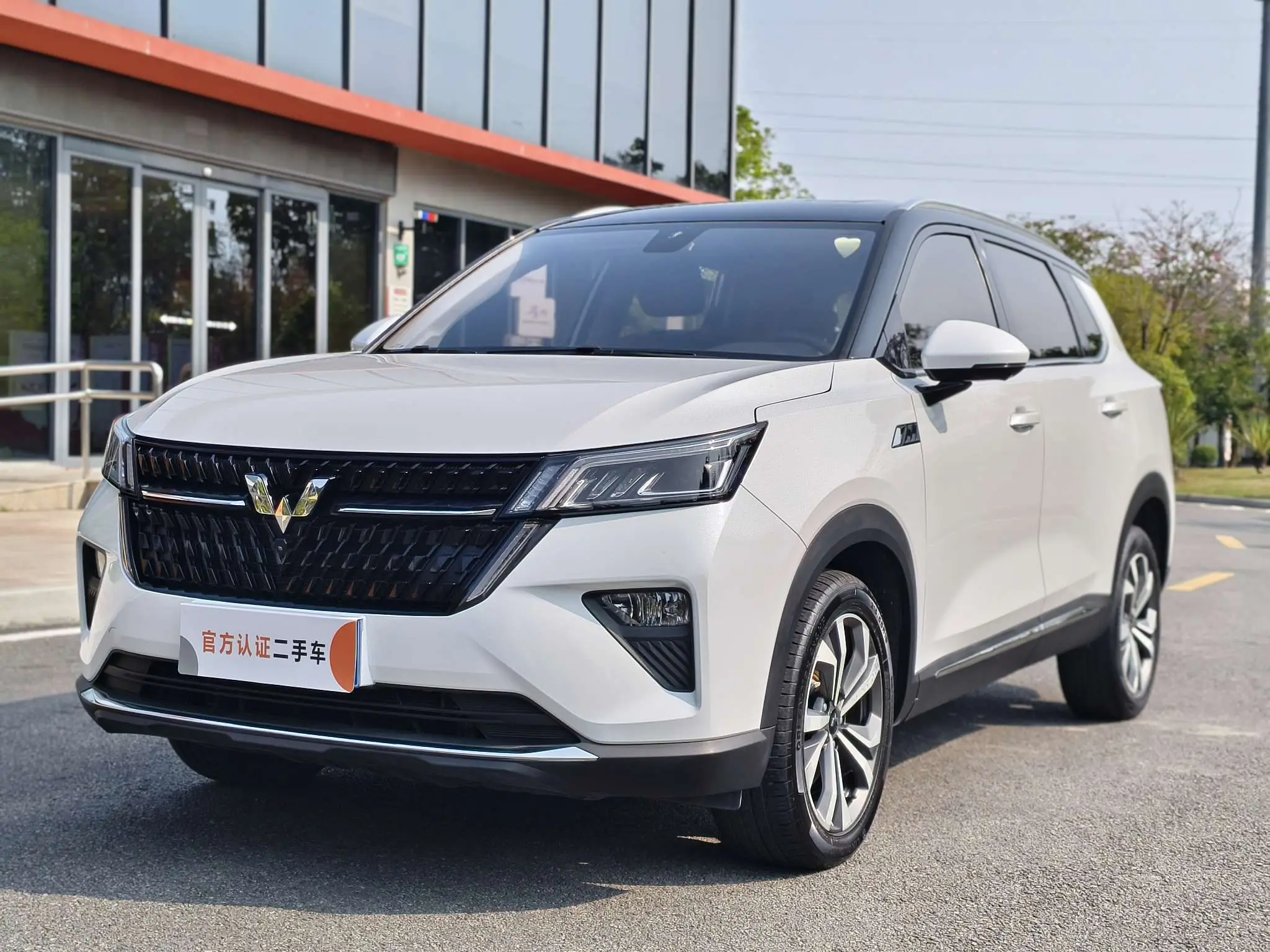 Wuling Star