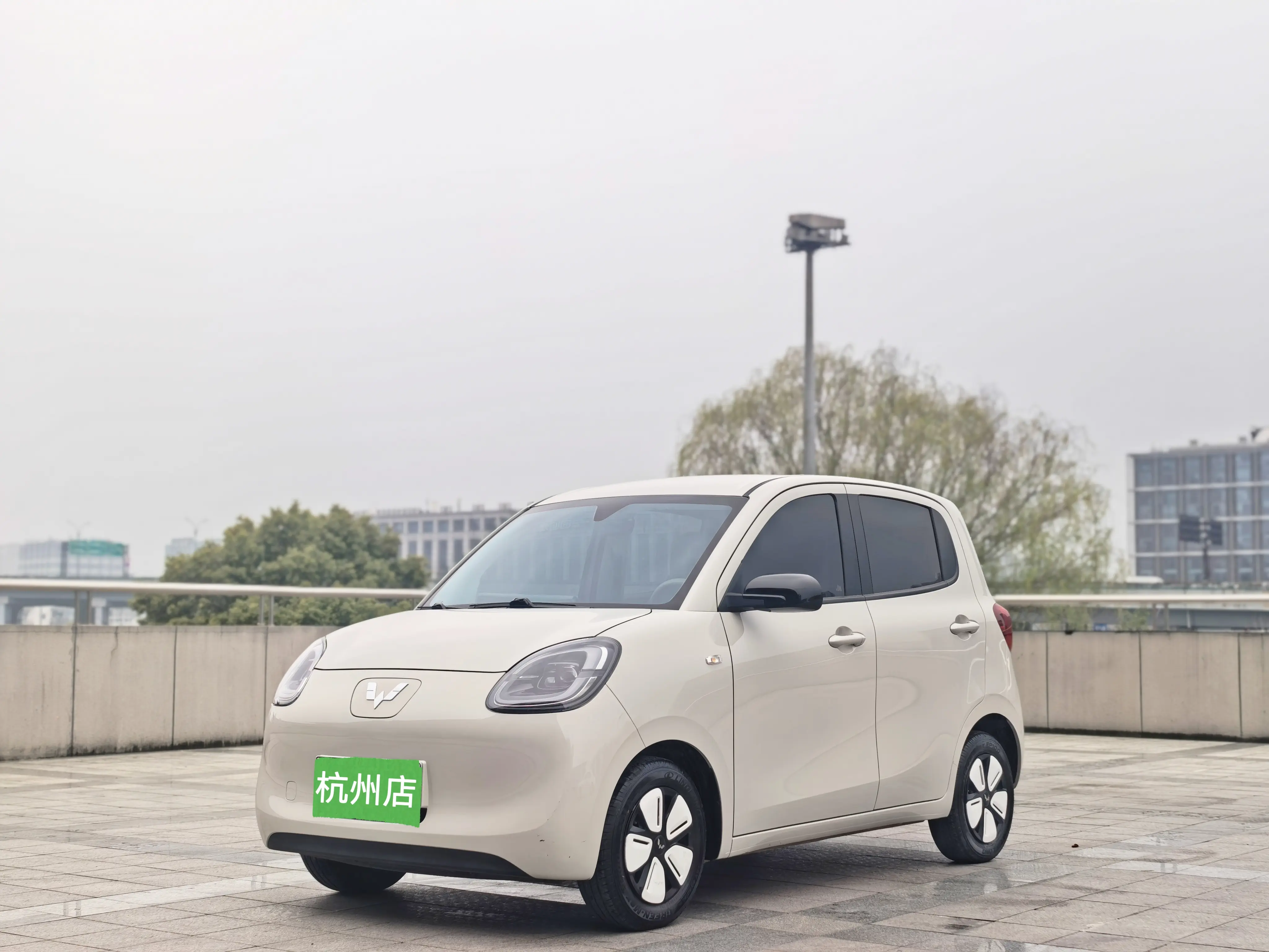Wuling Hongguang MINIEV  из Китая