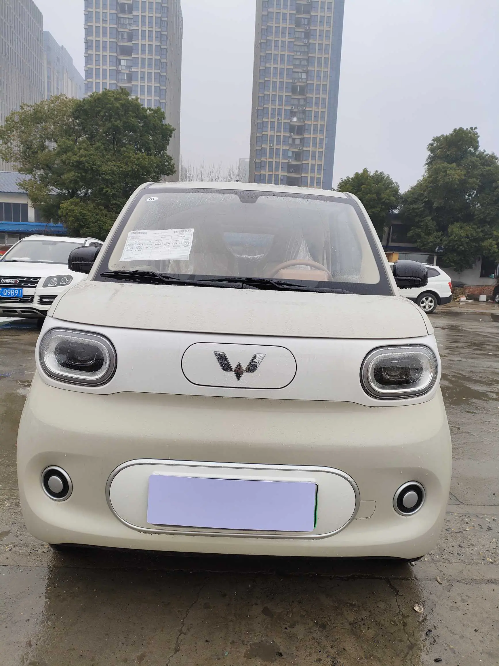 Wuling Hongguang MINIEV  из Китая