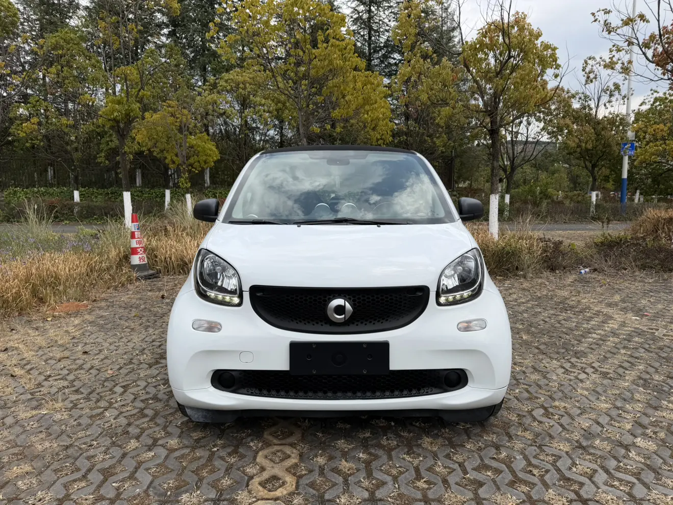Smart fortwo  из Китая