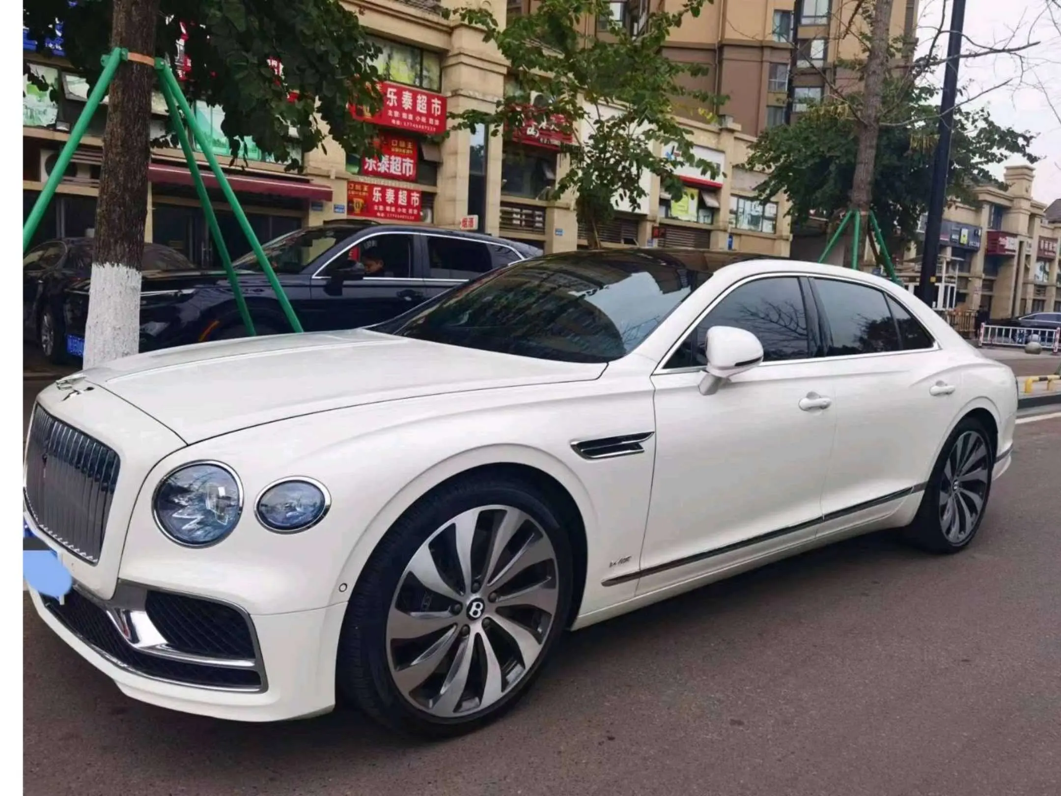 Bentley Galloping