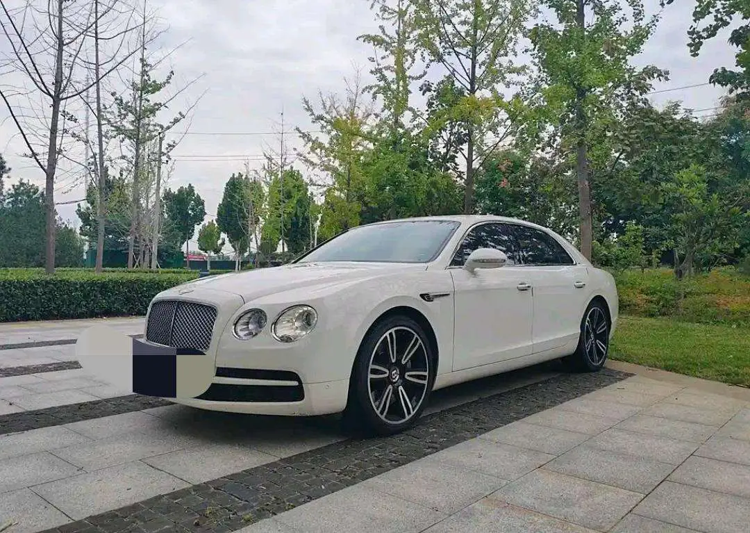 Bentley Galloping
