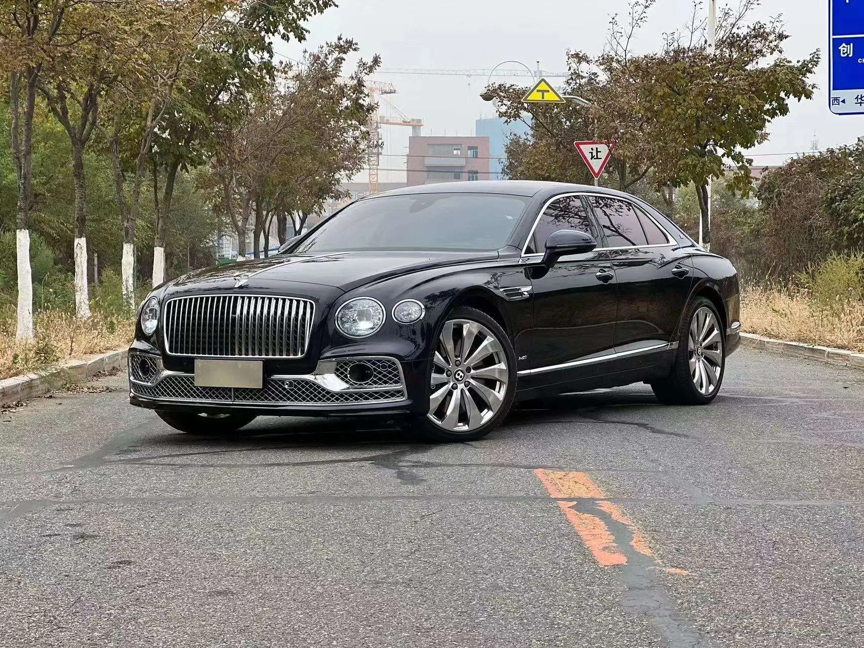 Bentley Galloping