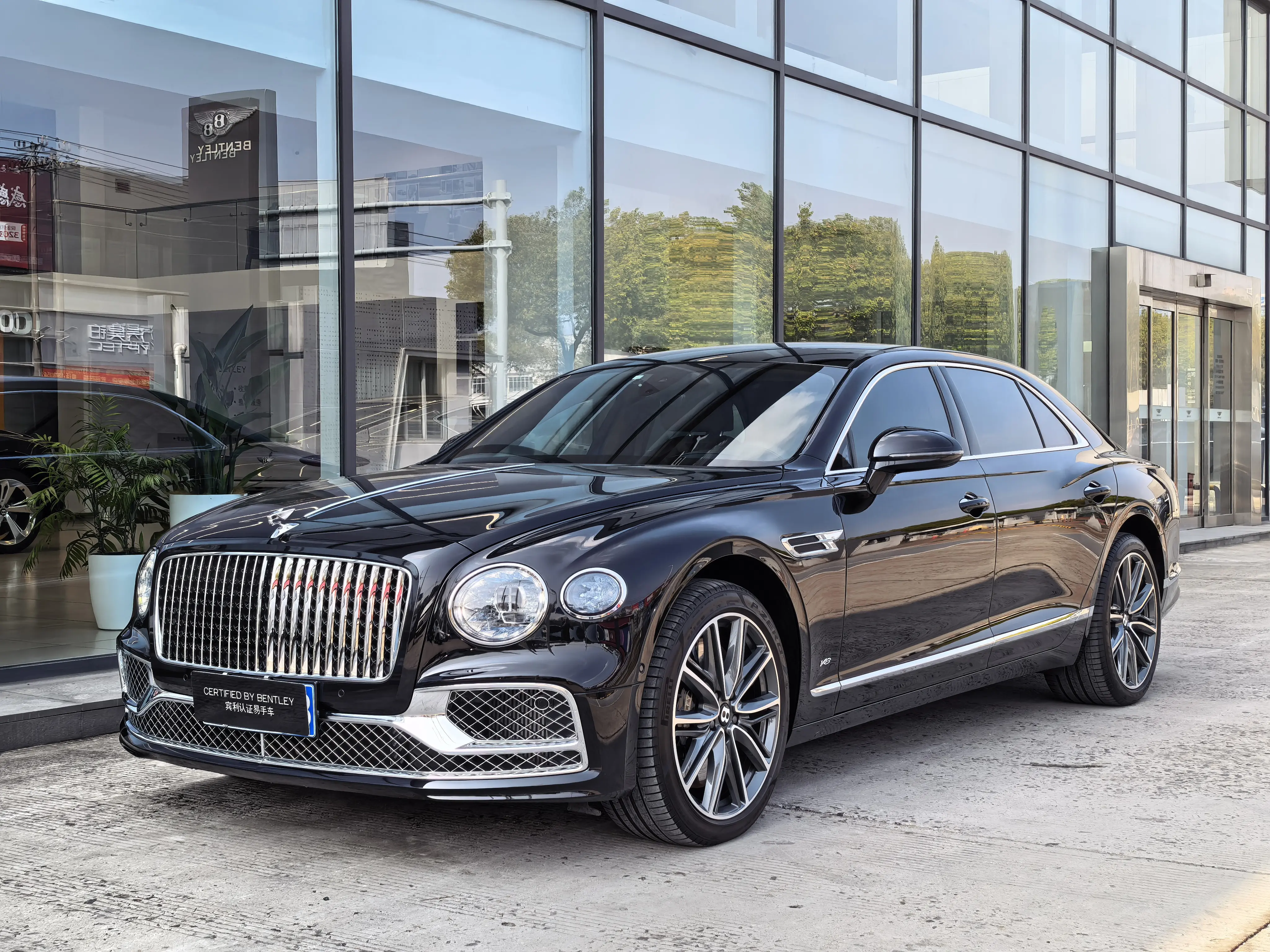 Bentley Galloping
