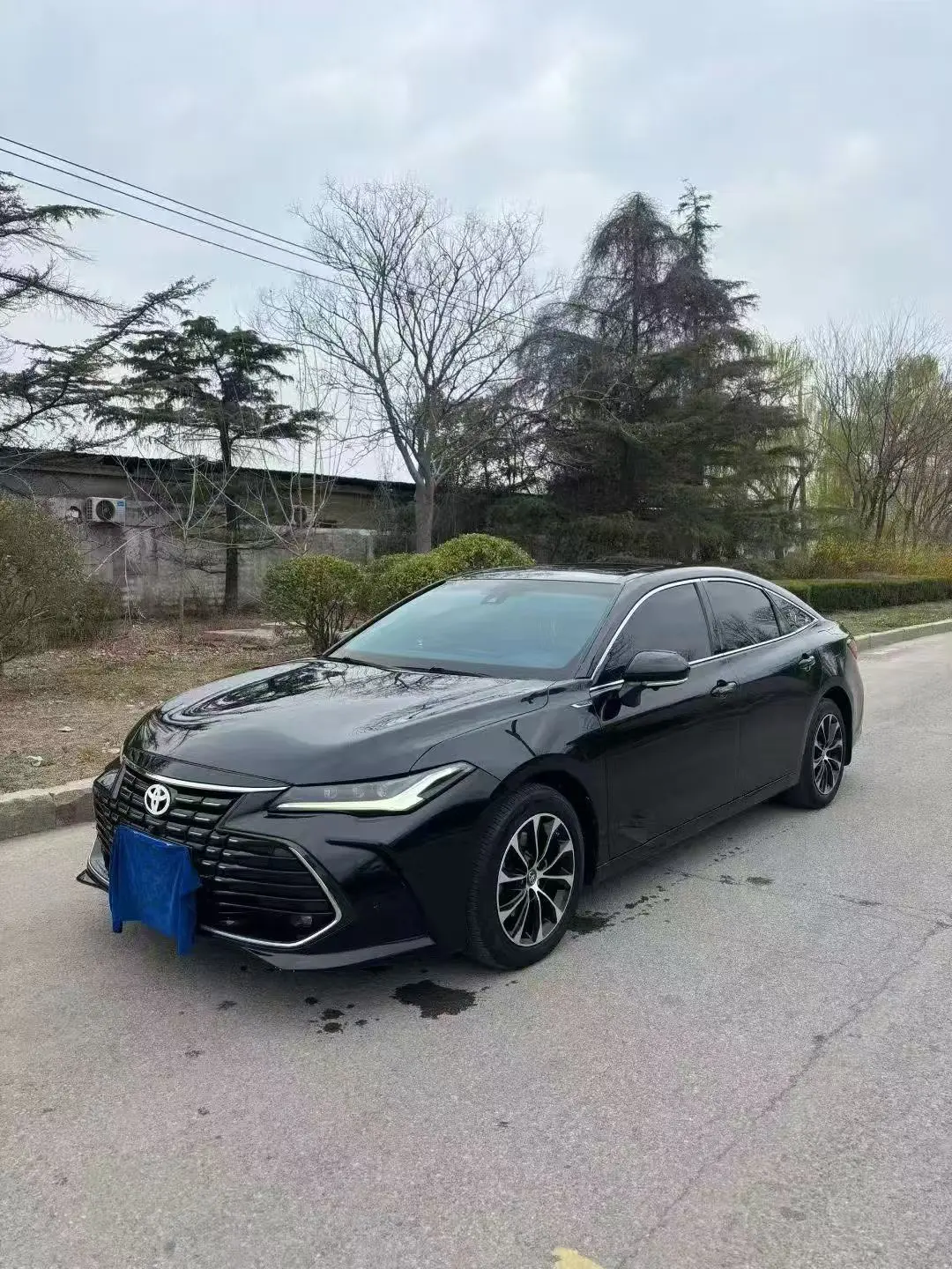 Toyota Avalon