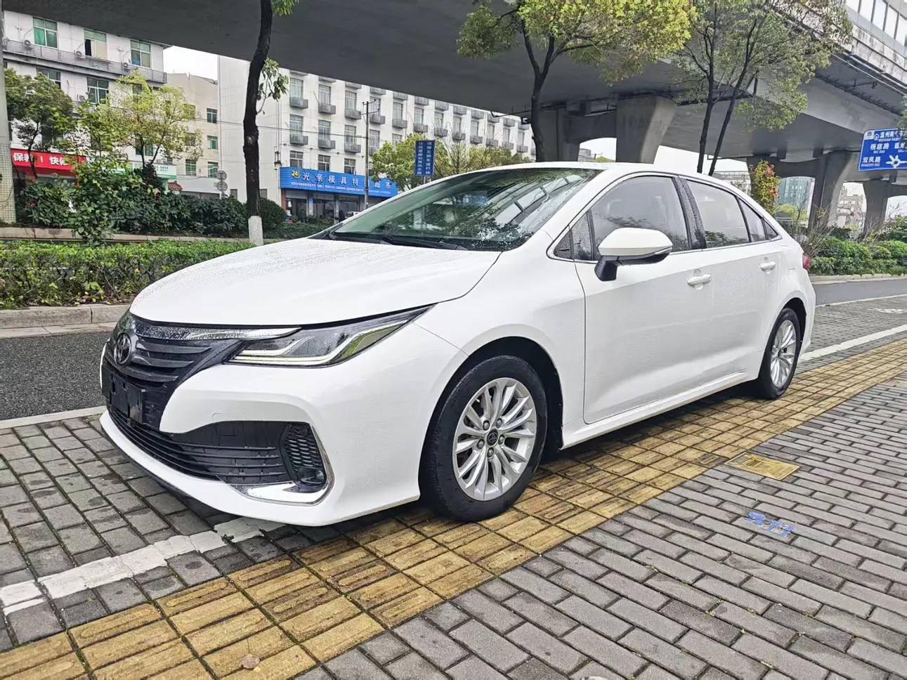 Toyota Asiatic lion