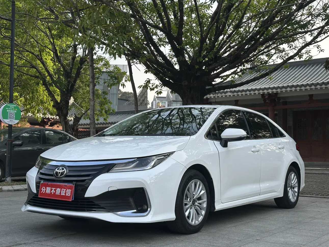 Toyota Asiatic lion