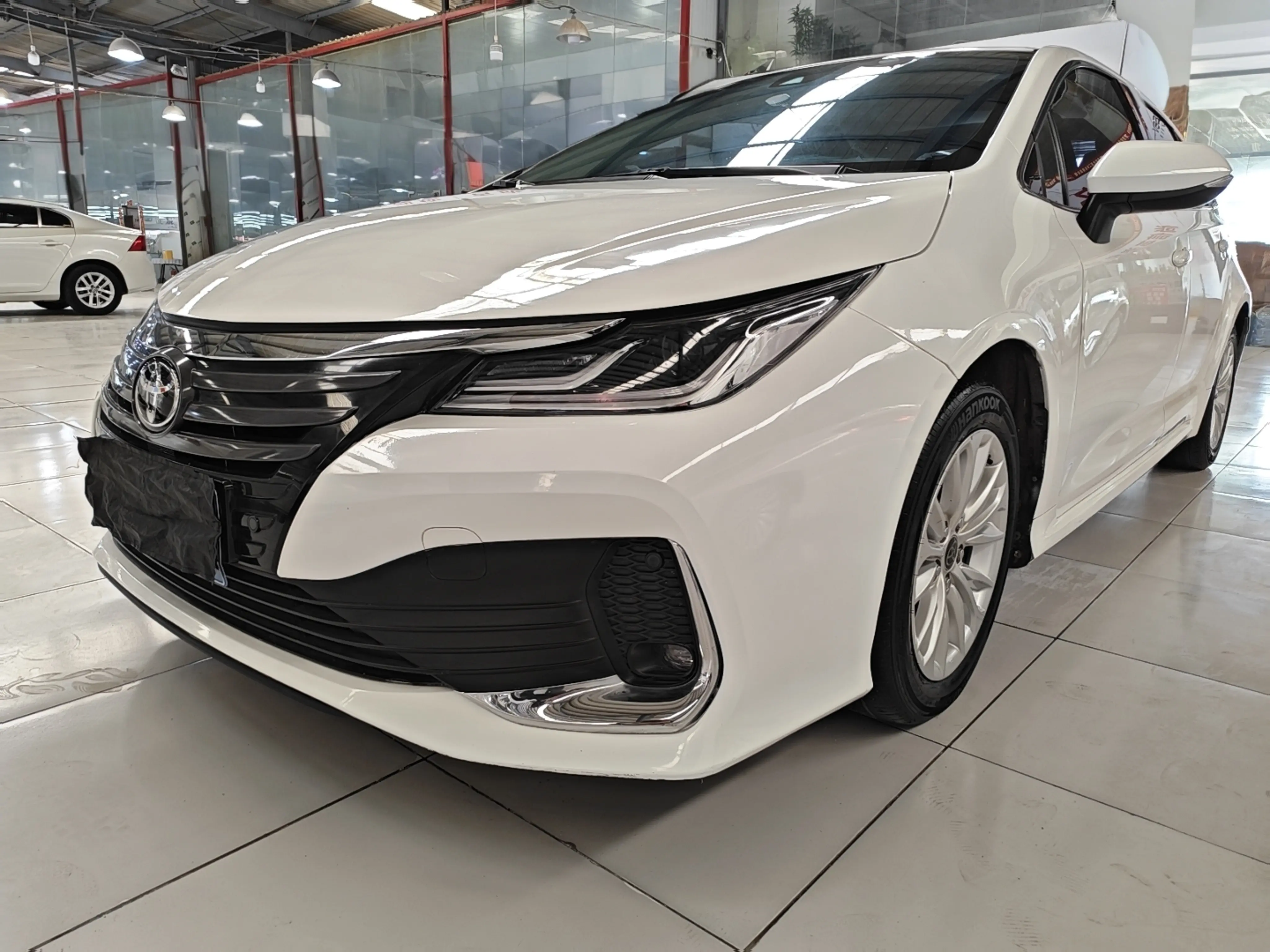 Toyota Asiatic lion