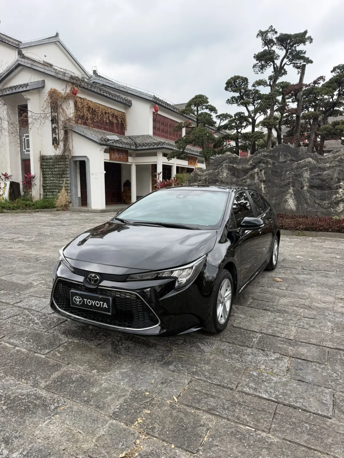 Toyota Levin