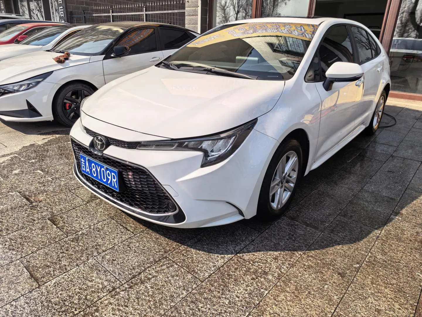 Toyota Levin