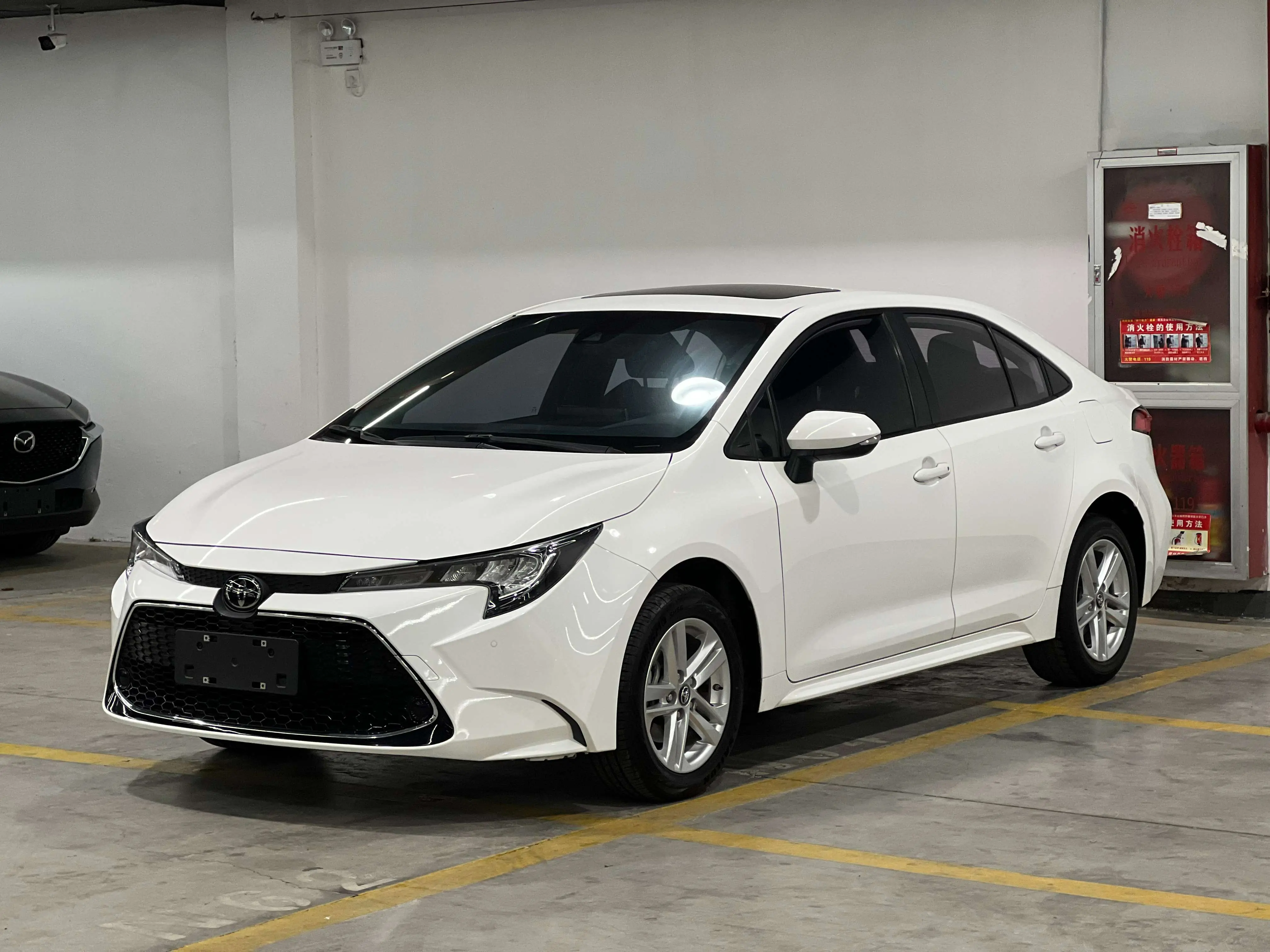 Toyota Levin