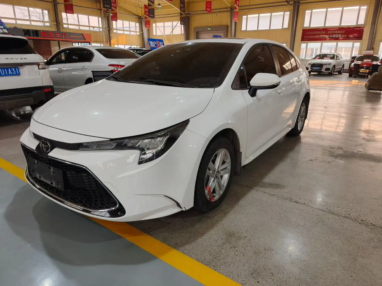 Toyota Levin