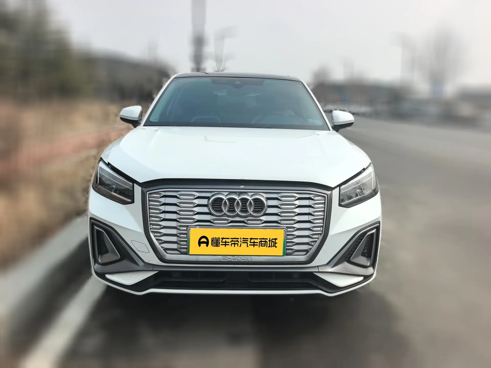 Audi Q2L e-tron  из Китая
