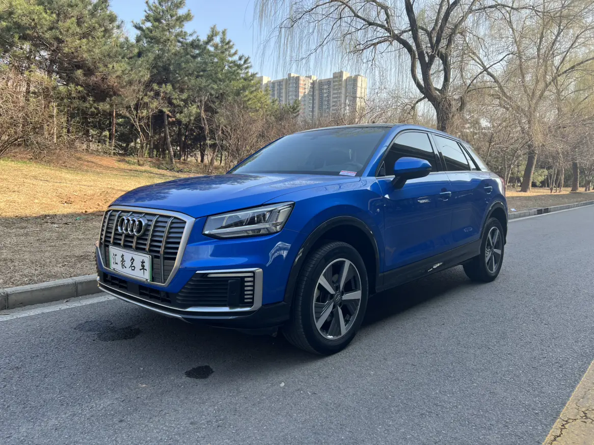 Audi Q2L e-tron  из Китая