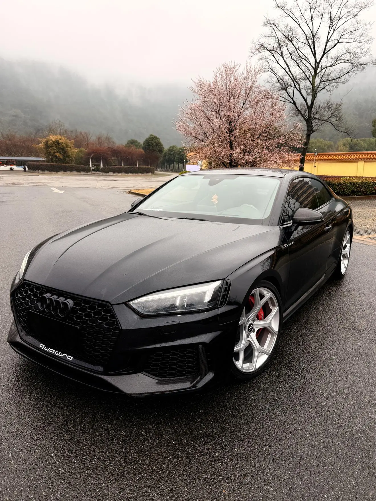 Audi RS 5